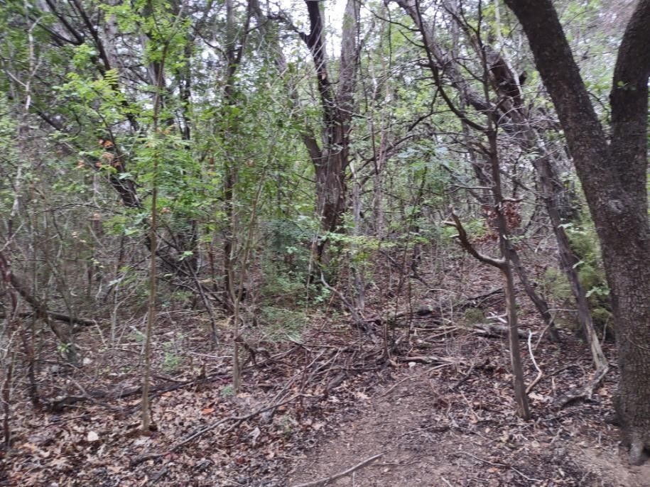 3.5 acres in Bosque County, Texas