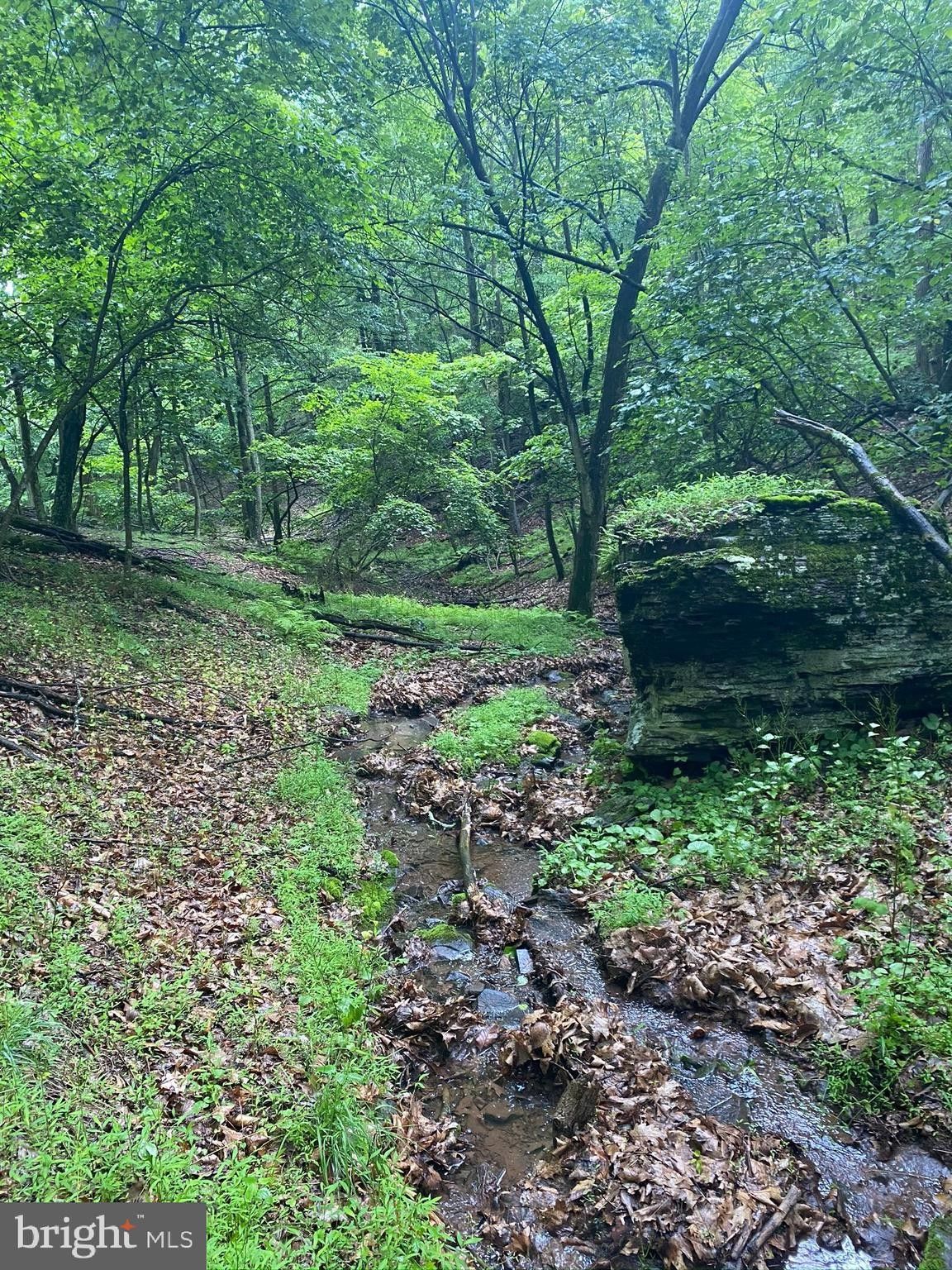 7.76 acres in Hardy County, West Virginia