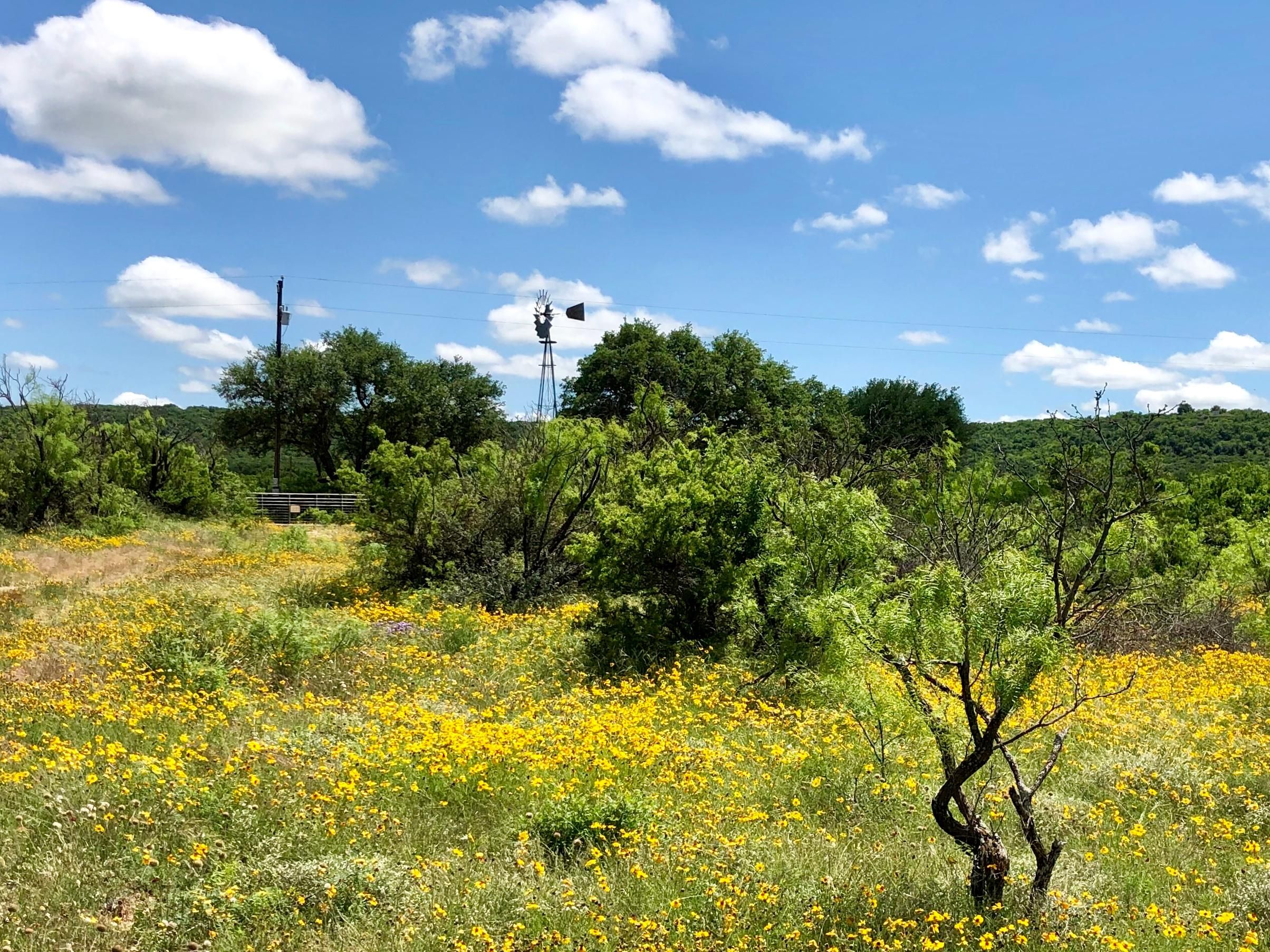106 acres in McCulloch County, Texas
