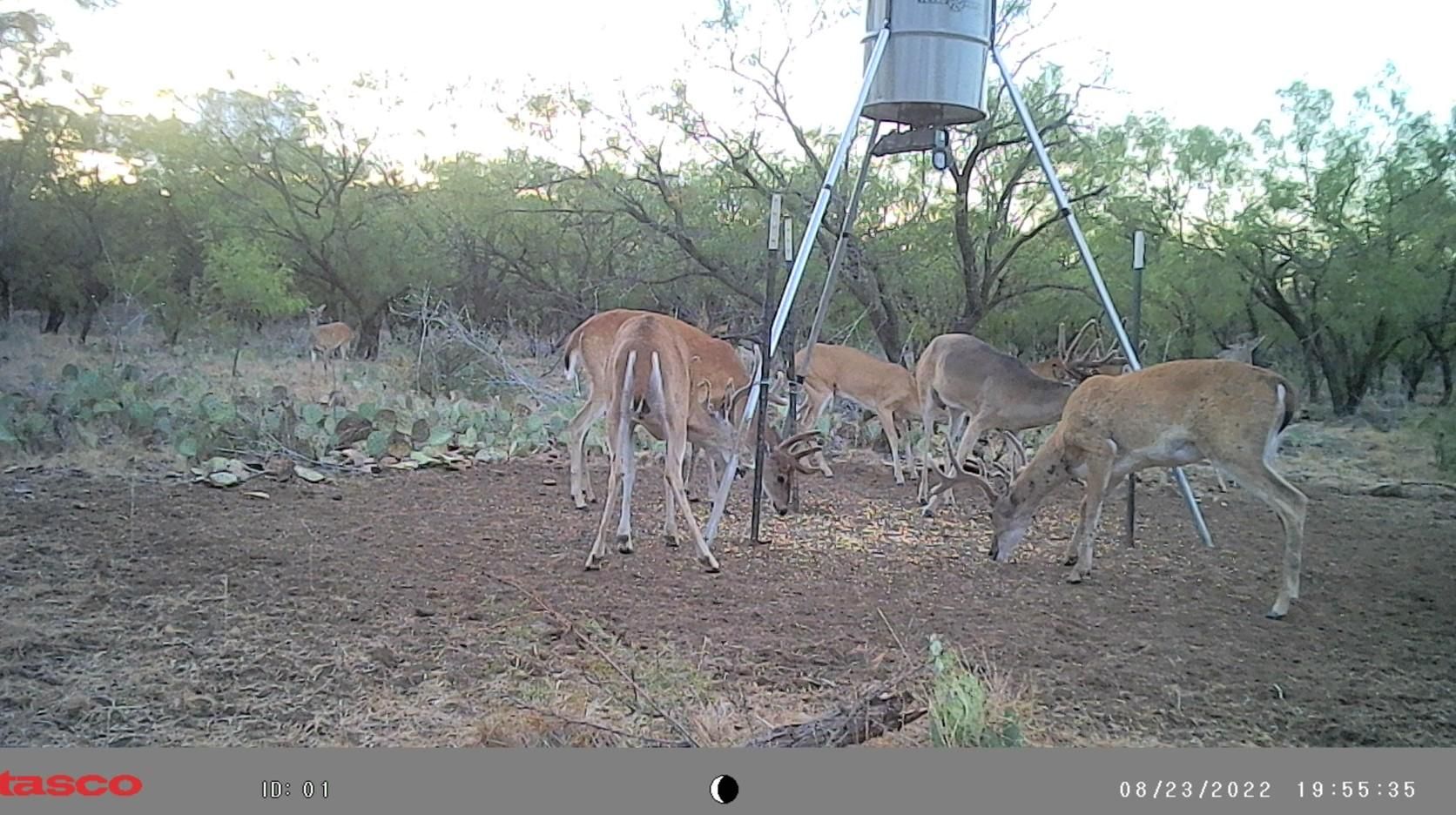 70 acres in Stephens County, Texas