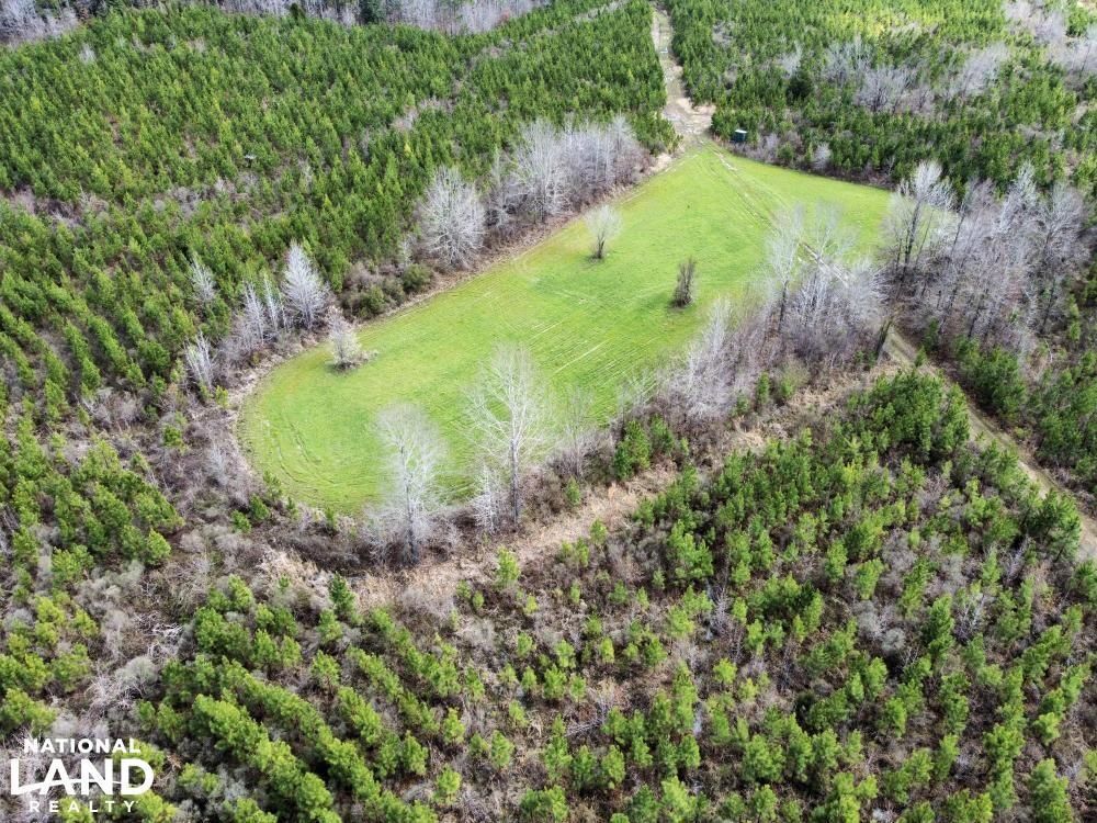 548 acres in Marengo County, Alabama