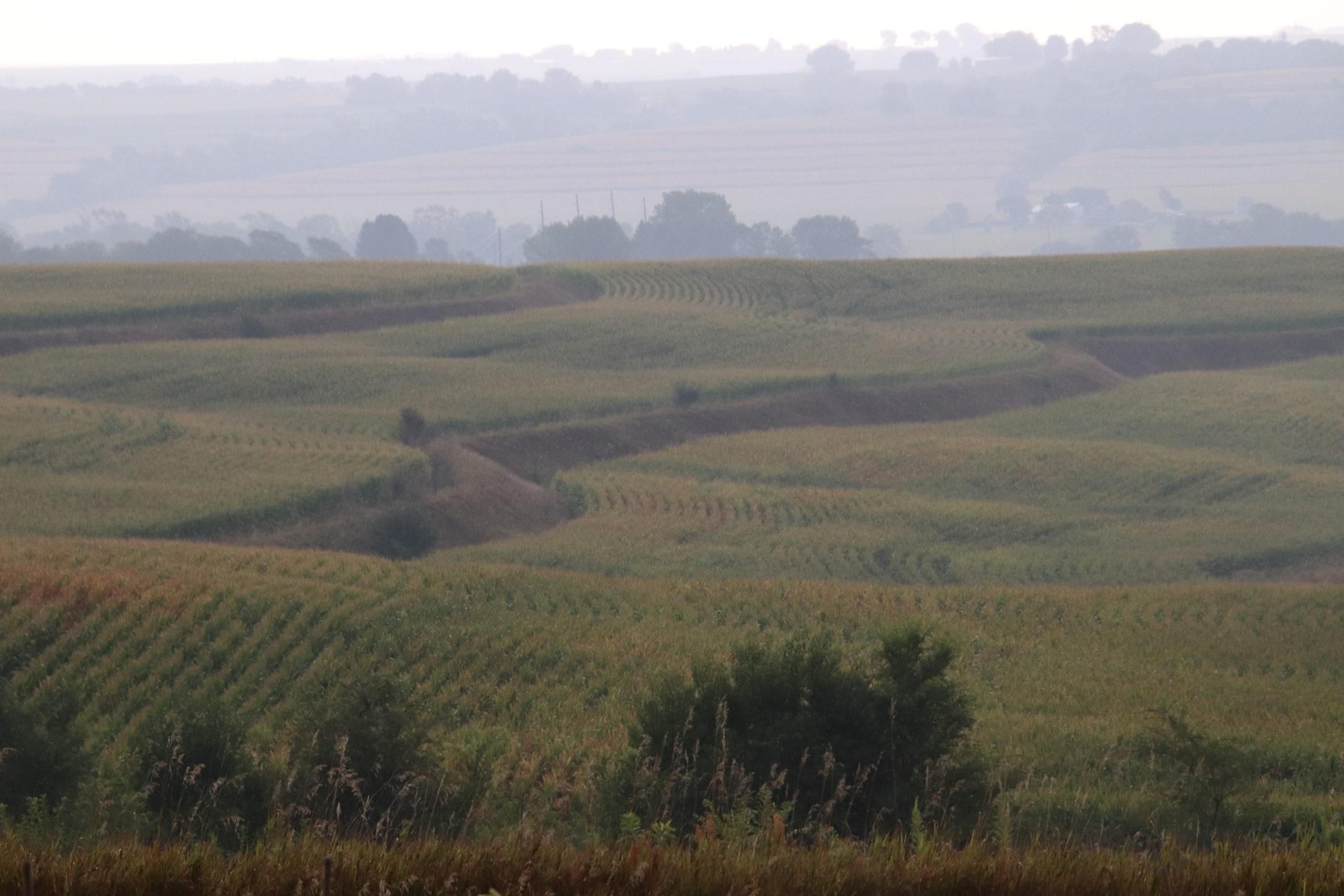 224.4 acres in Mills County, Iowa