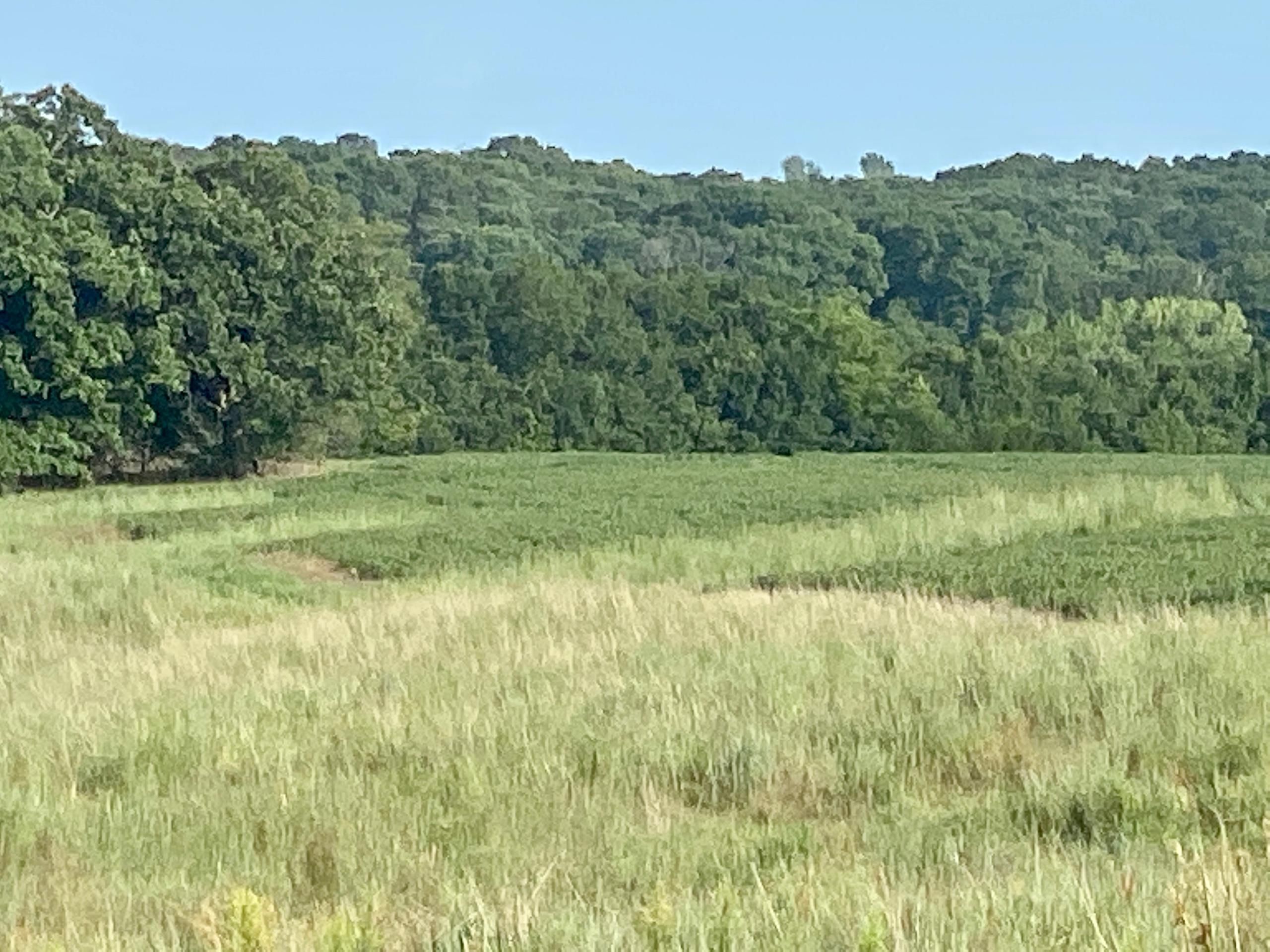 180 acres in Harrison County, Missouri