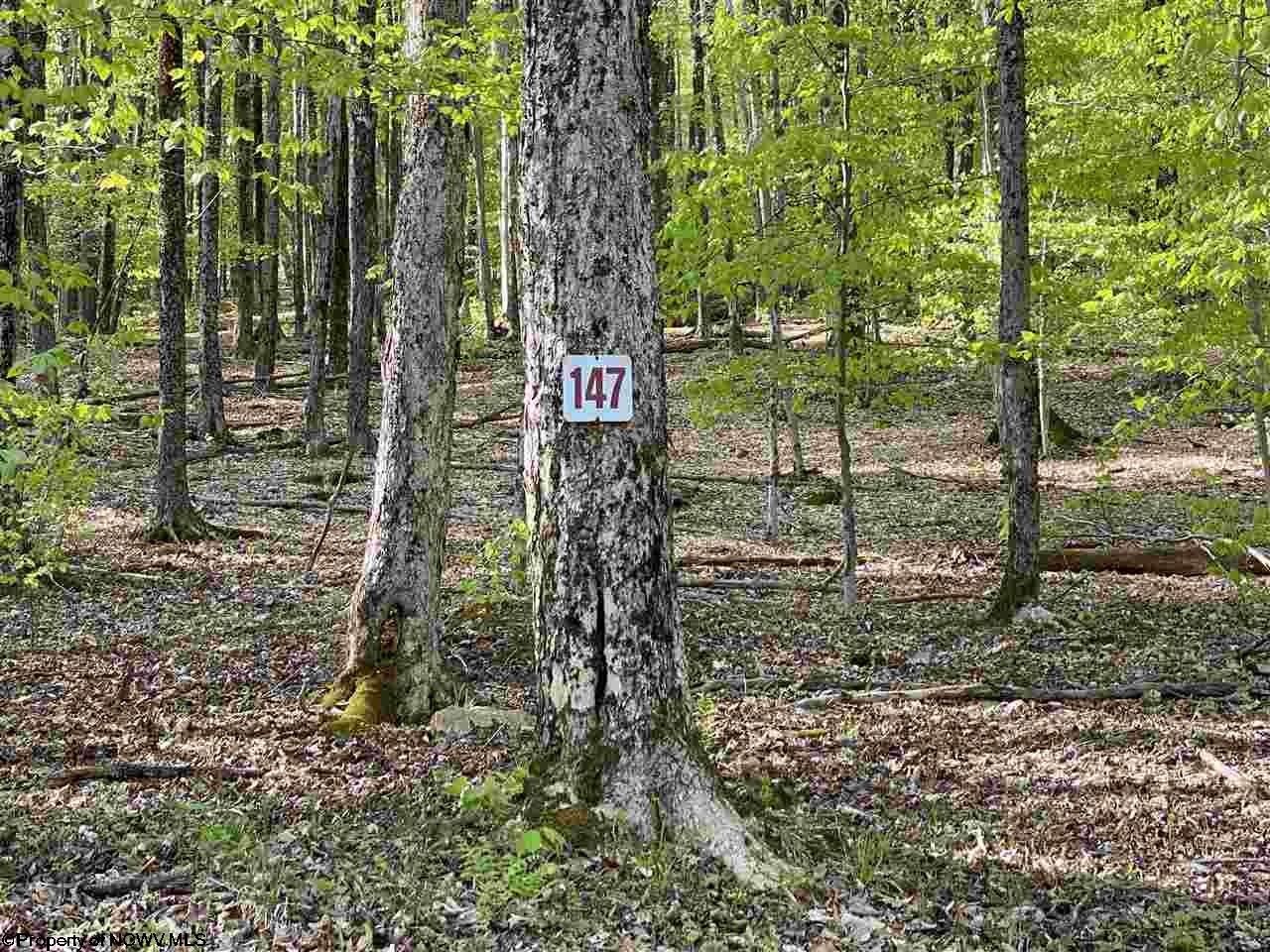 2.37 acres in Tucker County, West Virginia
