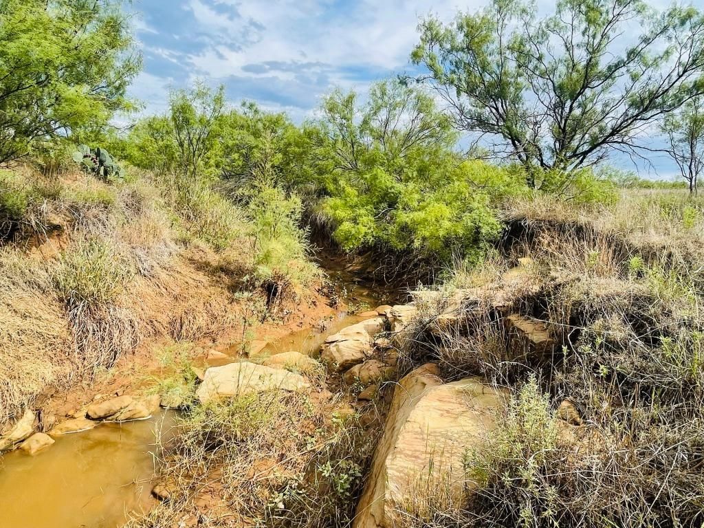 80 acres in Archer County, Texas