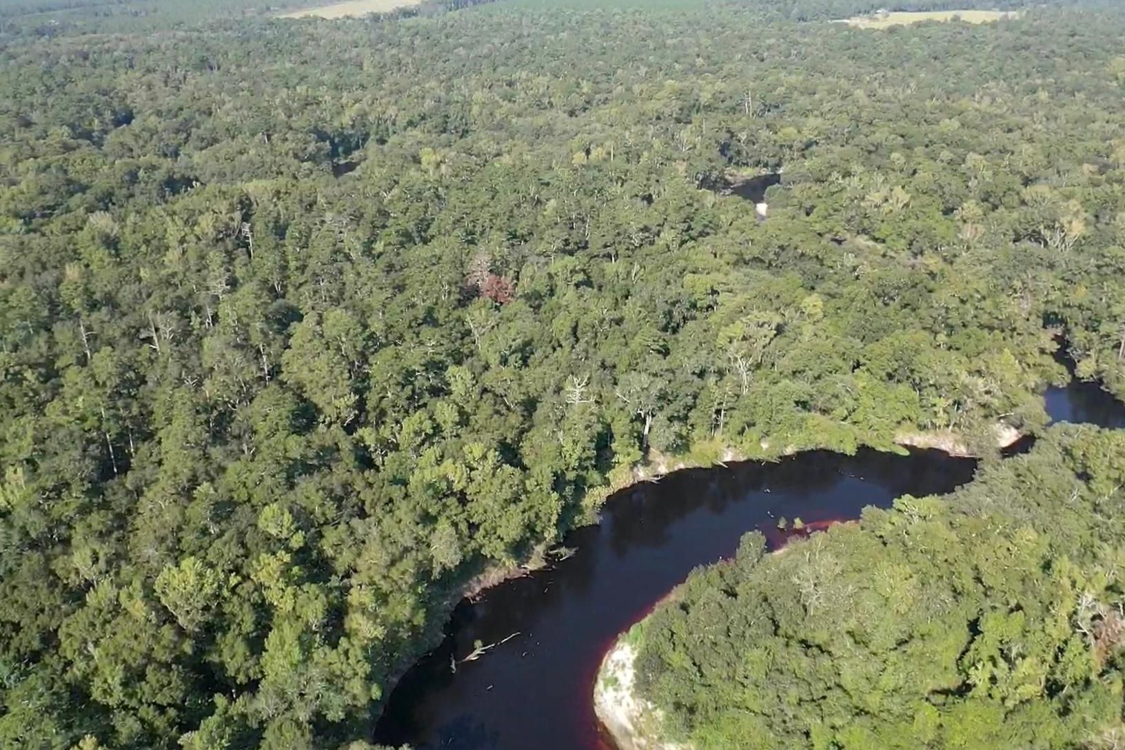 29 acres in Lowndes County,