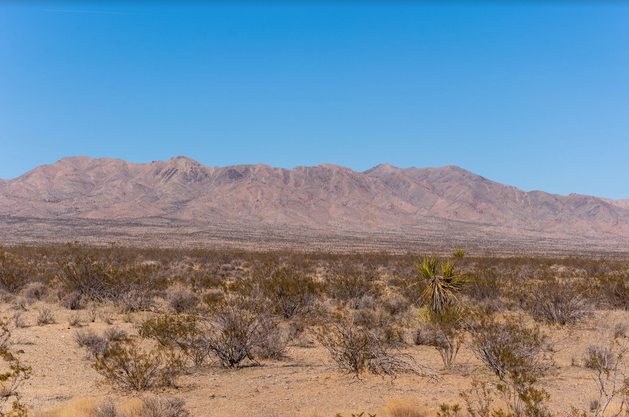 1.25 acres in Mohave County, Arizona