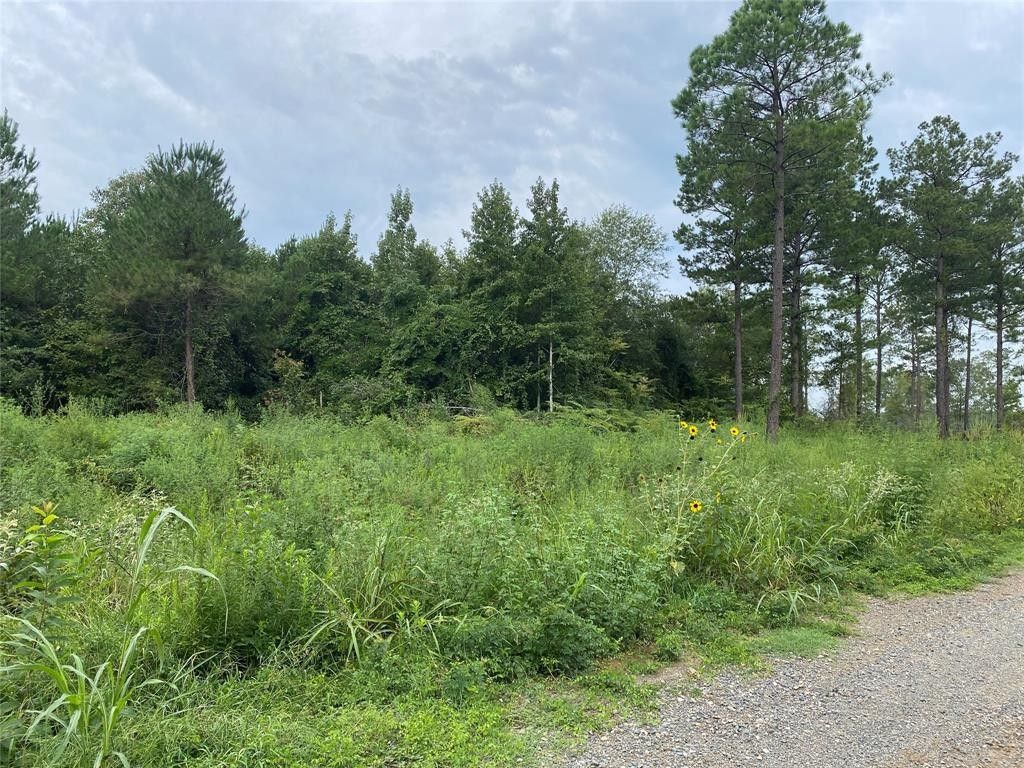 4.1 acres in De Soto Parish, Louisiana