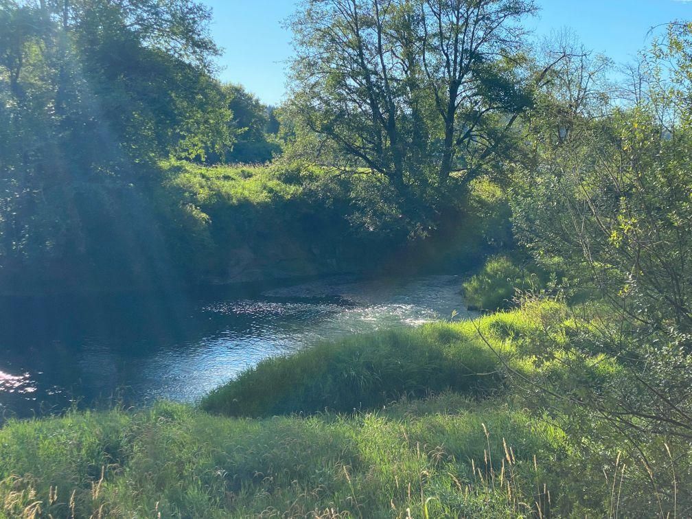 13.9 acres in Lewis County, Washington