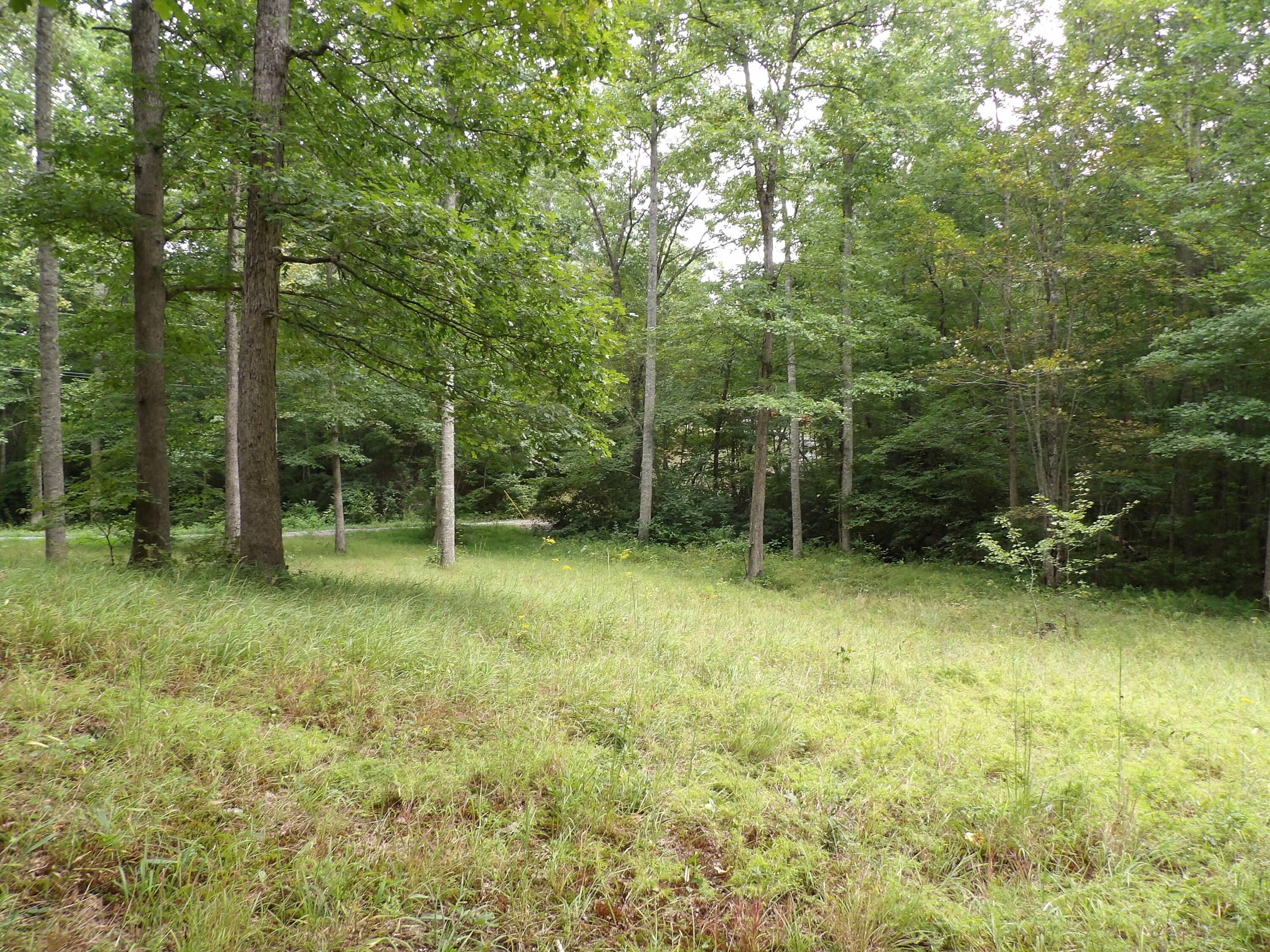 11.5 acres in Sequatchie County, Tennessee