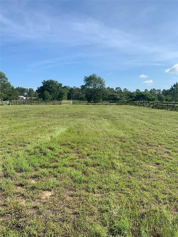 5 acres in Levy County, Florida
