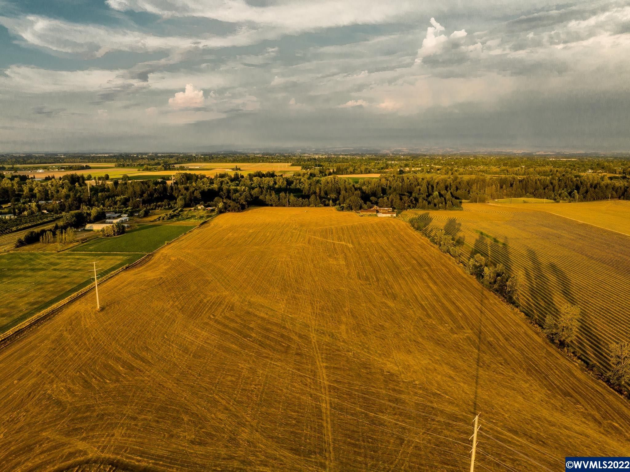 82 acres in Polk County, Oregon