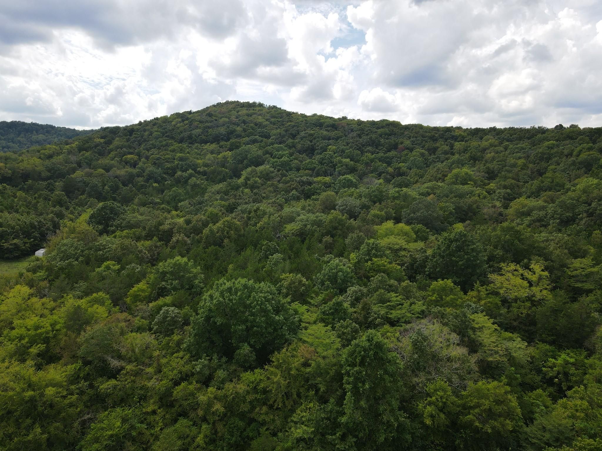 81.7 acres in Cannon County, Tennessee