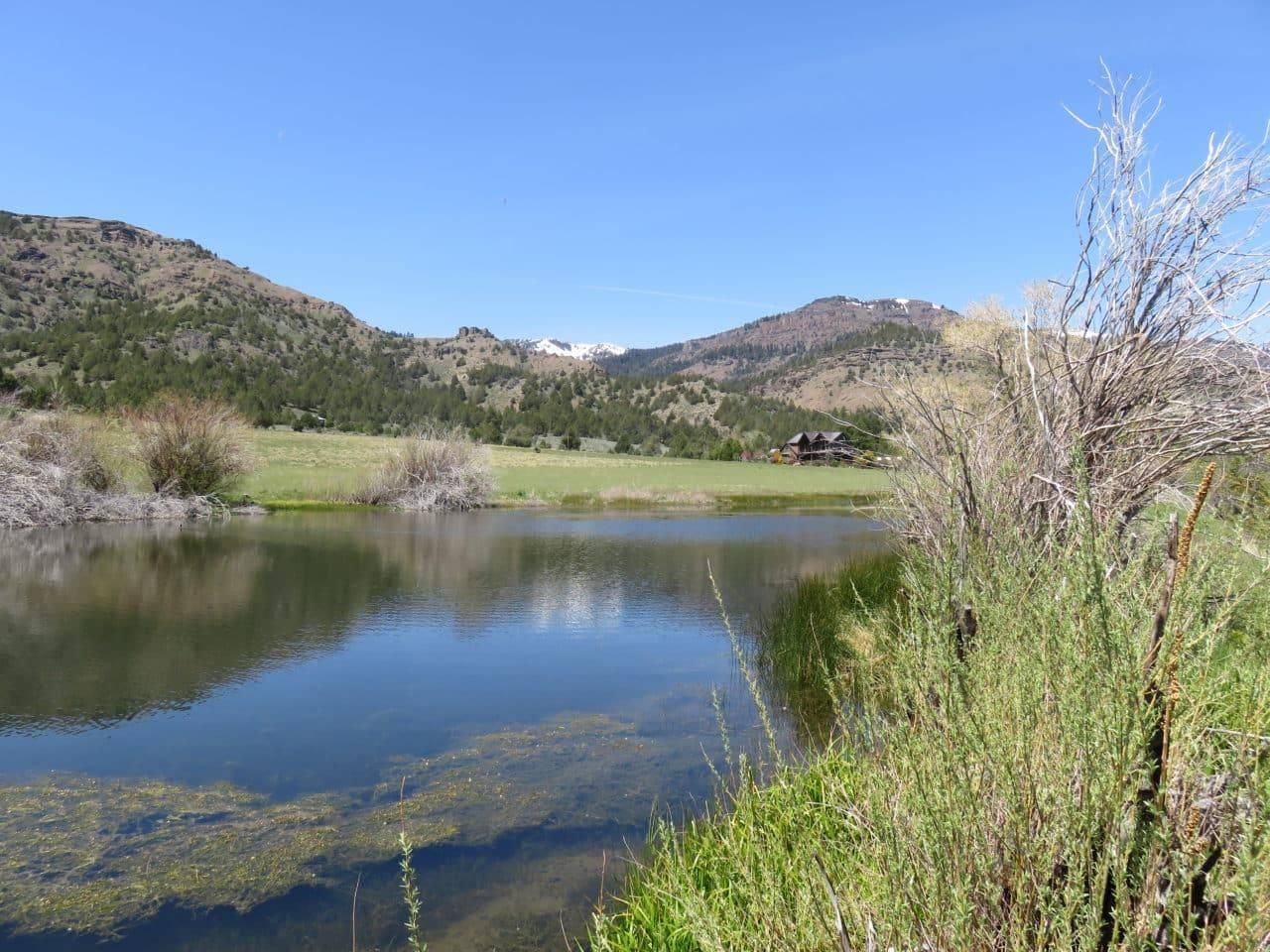 78 acres in Modoc County, California