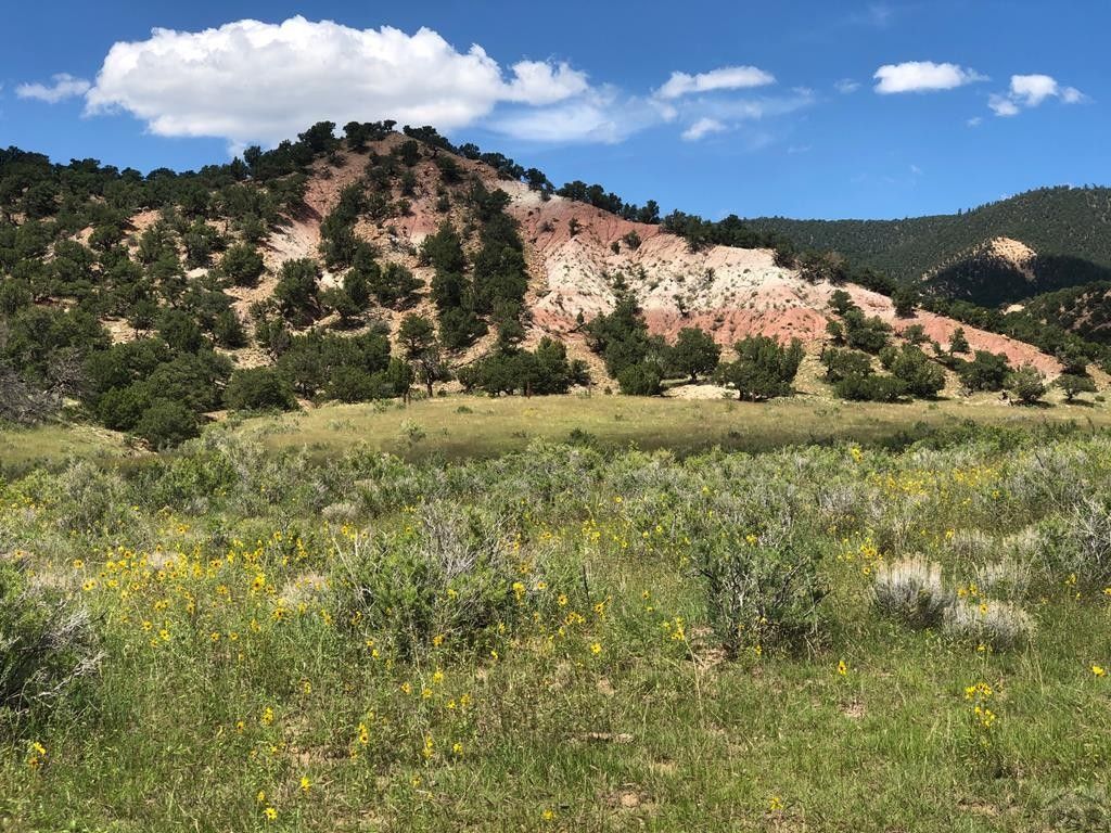 40 acres in Huerfano County, Colorado