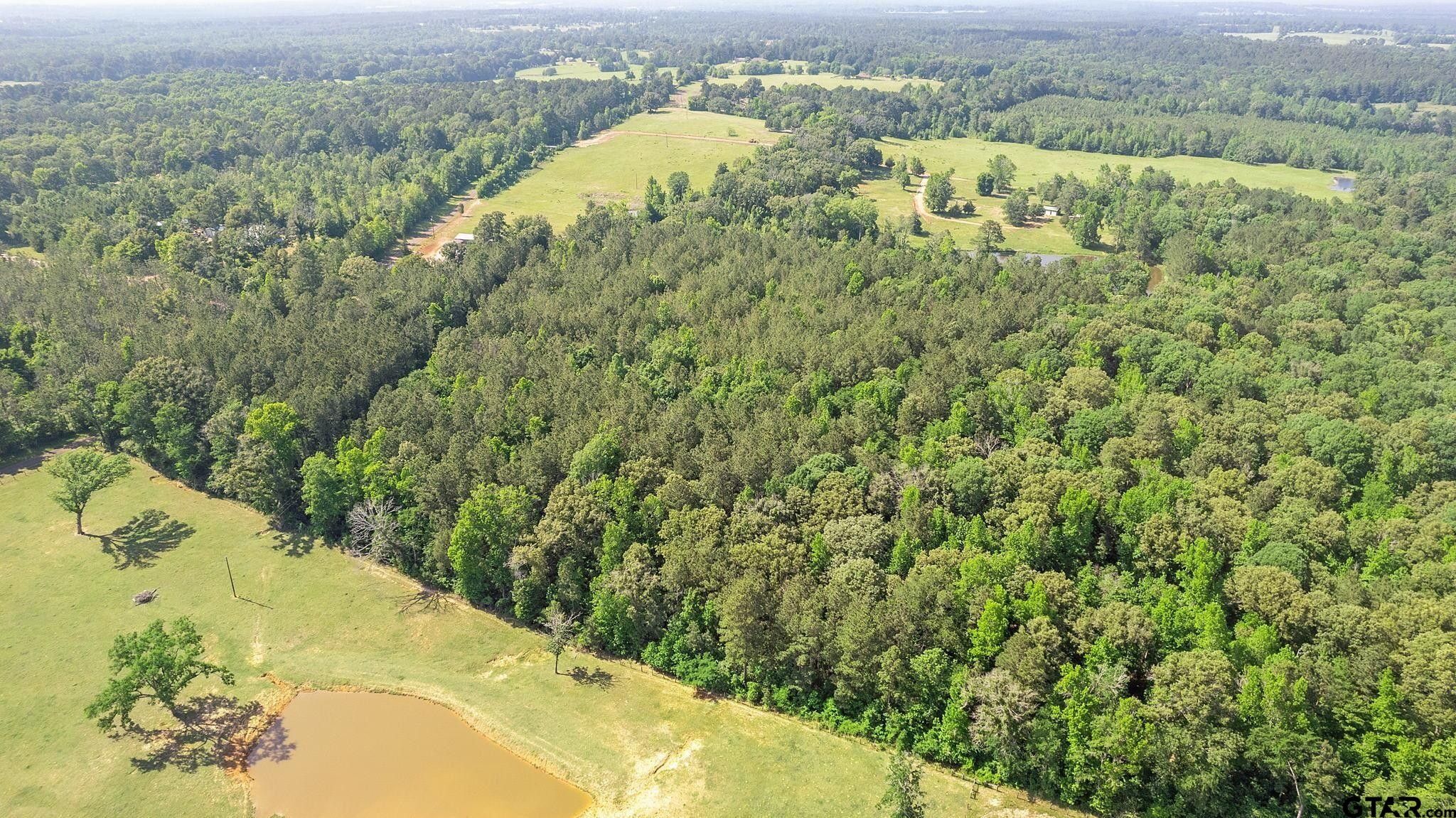26 acres in Cherokee County, Texas