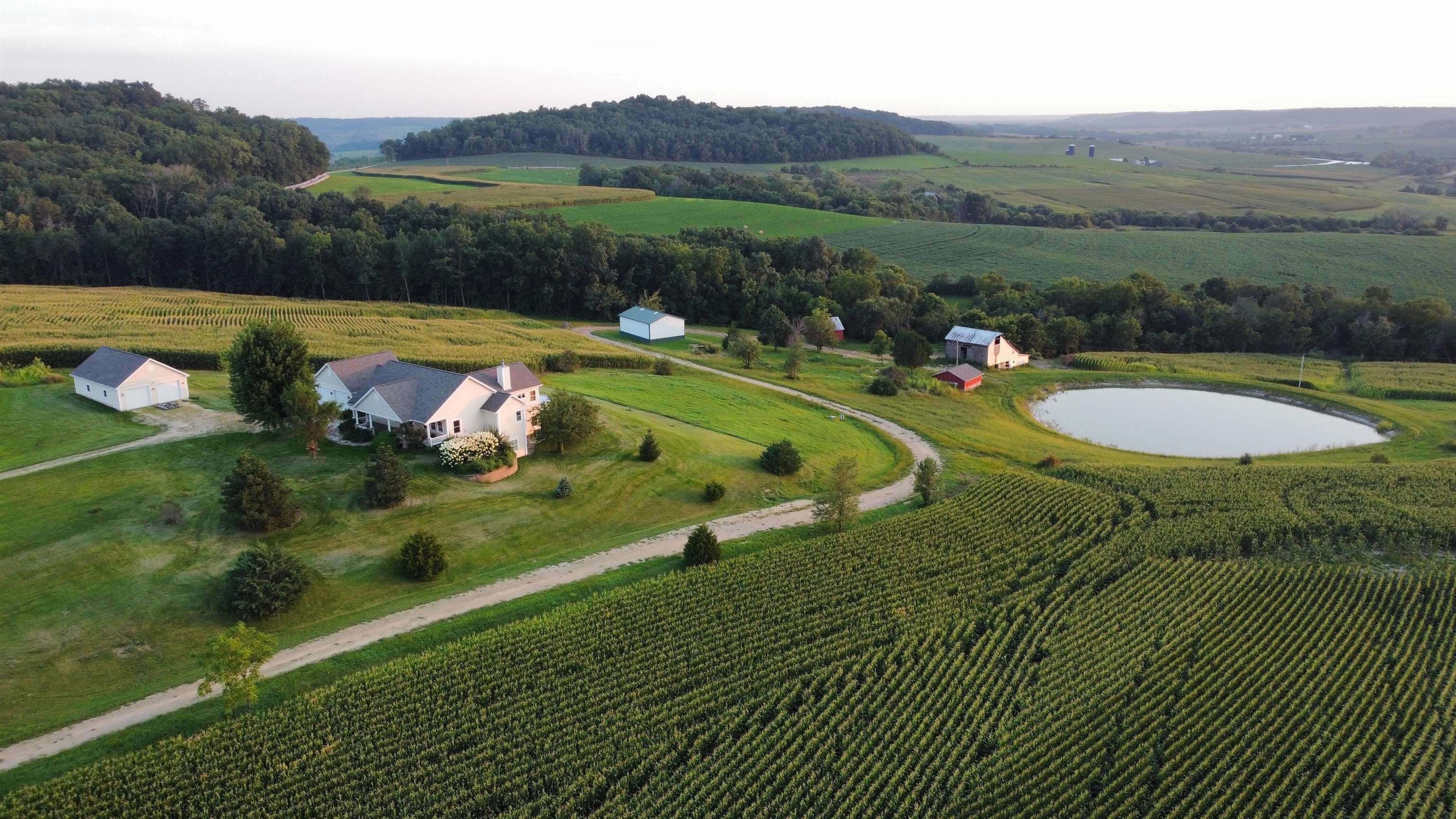 20 acres in Jo Daviess County, Illinois