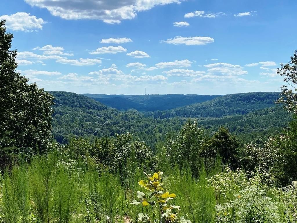 Hwy 247, Tuscumbia, AL 35674