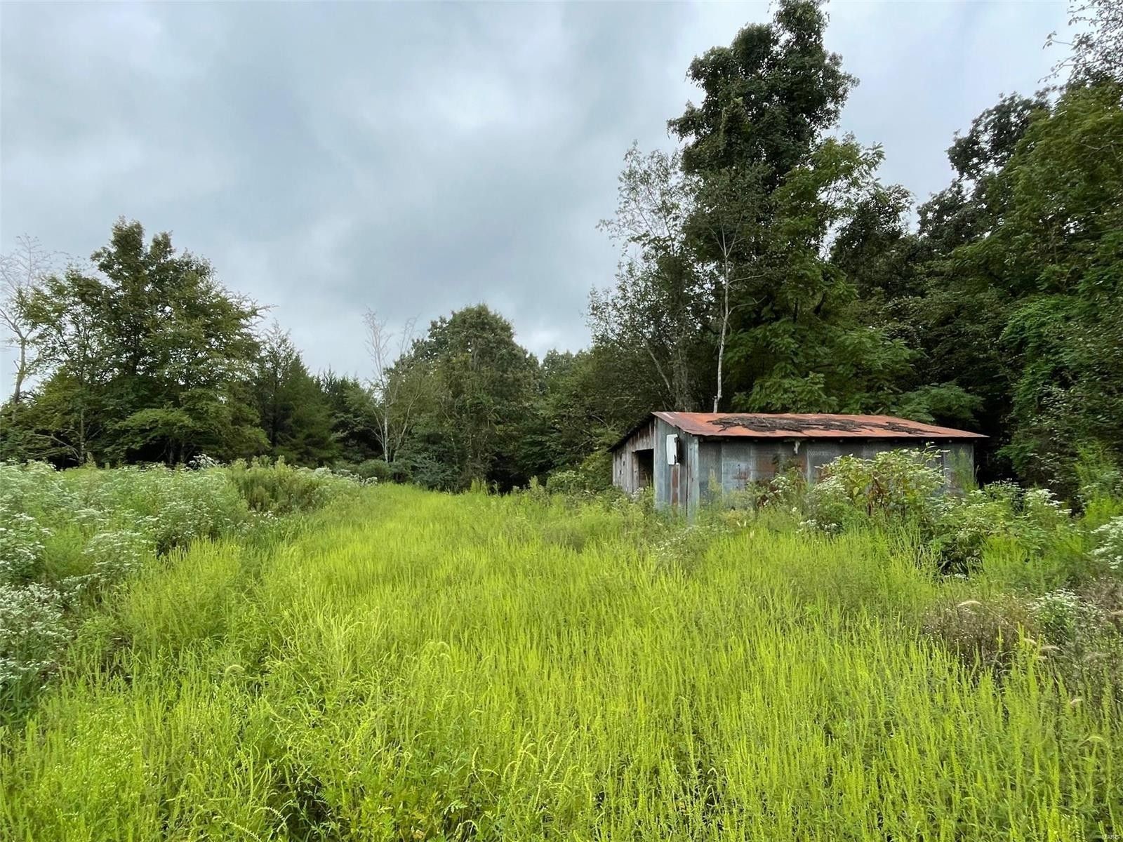 11.5 acres in Ripley County, Missouri