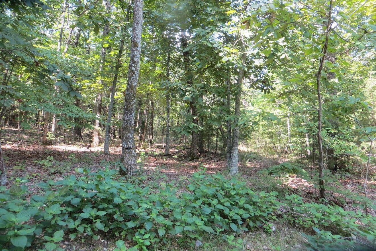 10 acres in Oregon County, Missouri