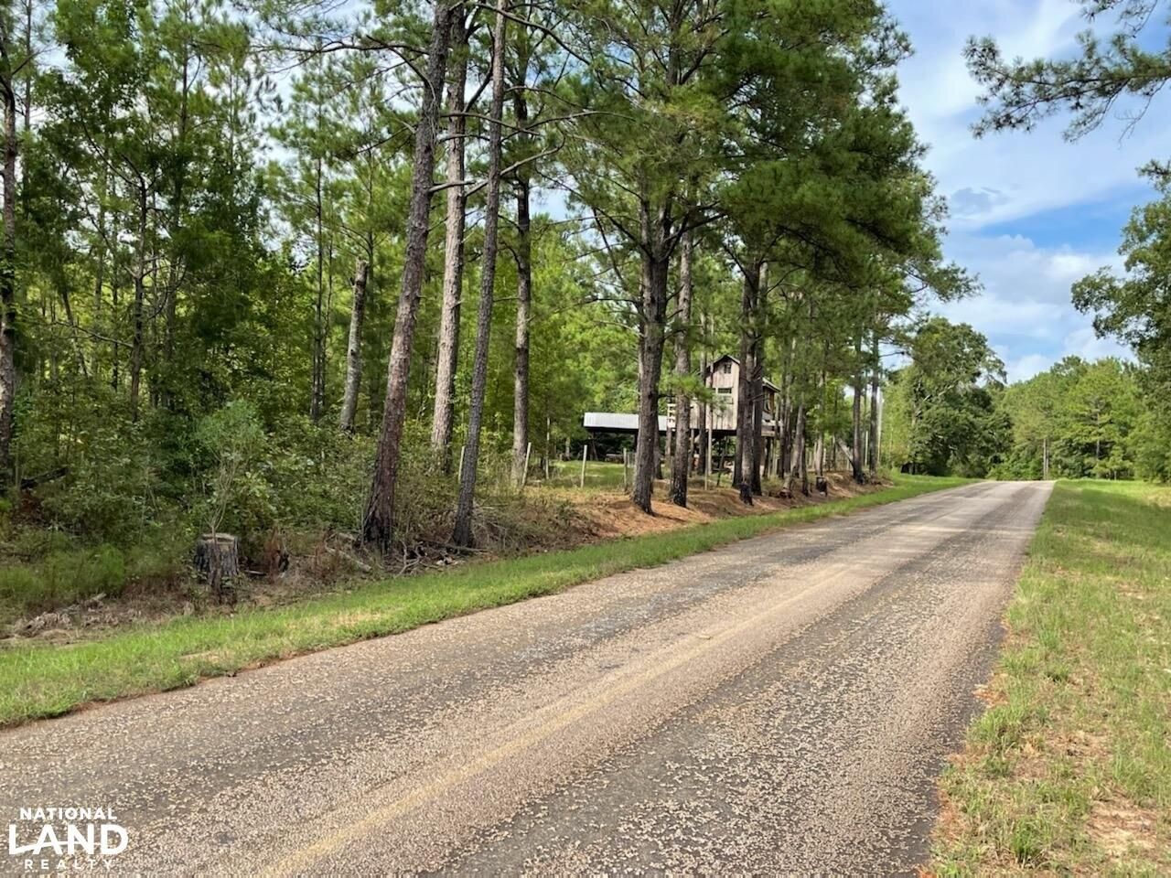 80 acres in Henry County, Alabama