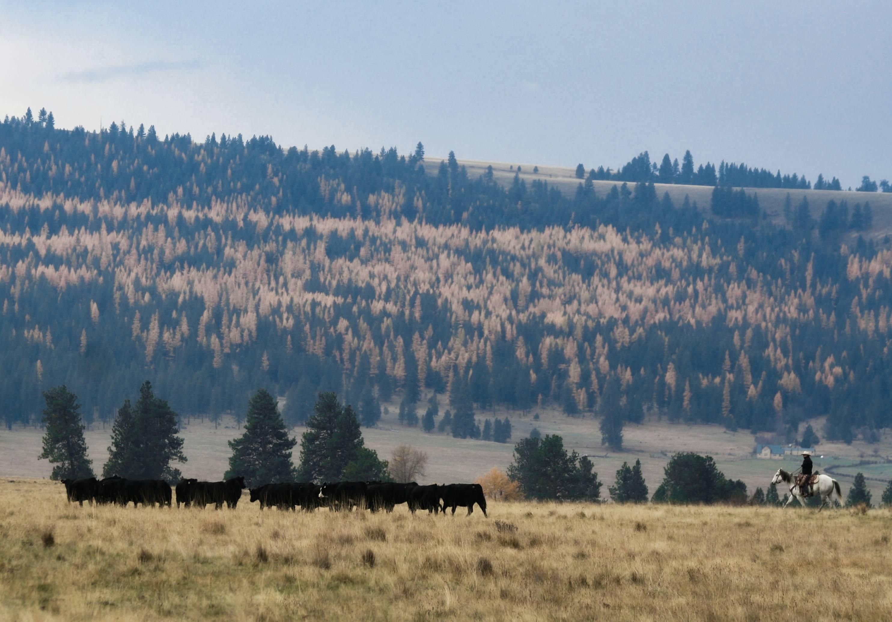 55,757 acres in Umatilla County, Oregon