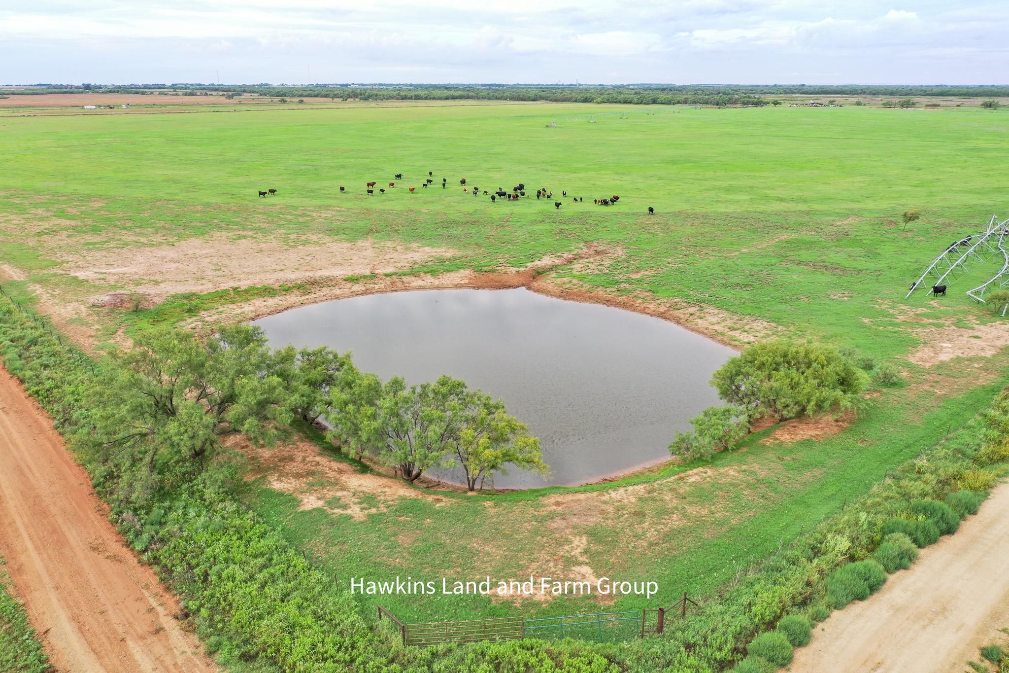 100 acres in Knox County, Texas