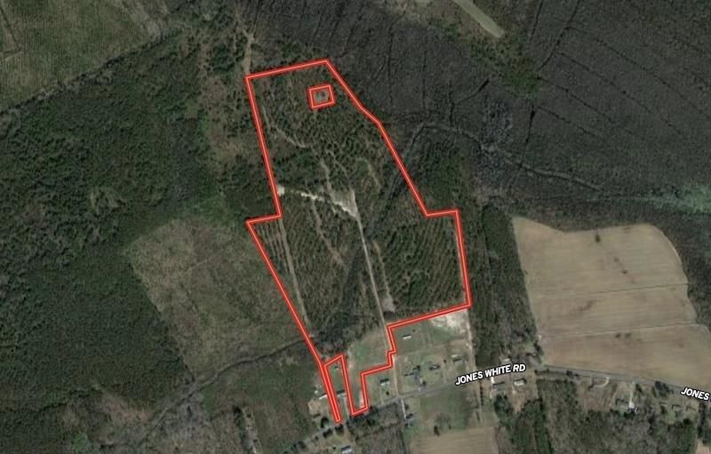 46.75 acres in Washington County, North Carolina