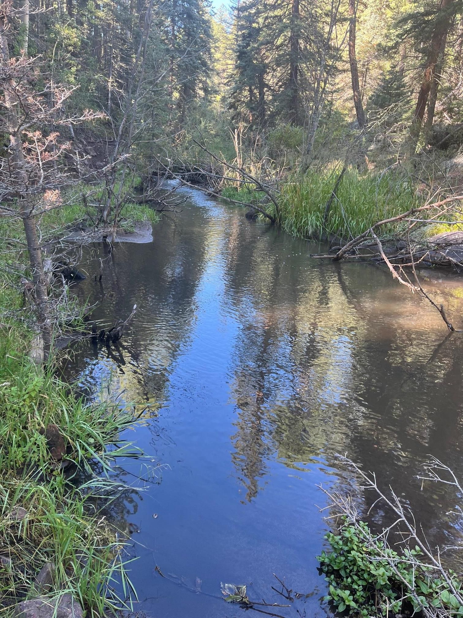 200 acres in Rio Grande County, Colorado