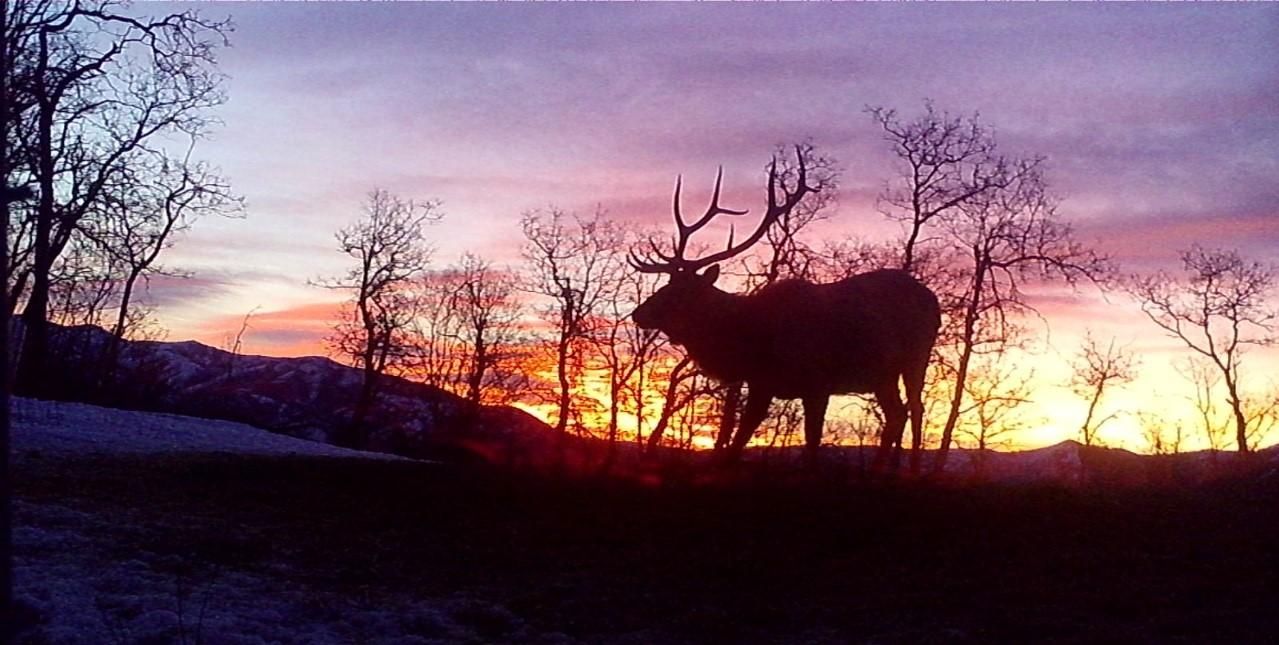 866.32 acres in County, Utah