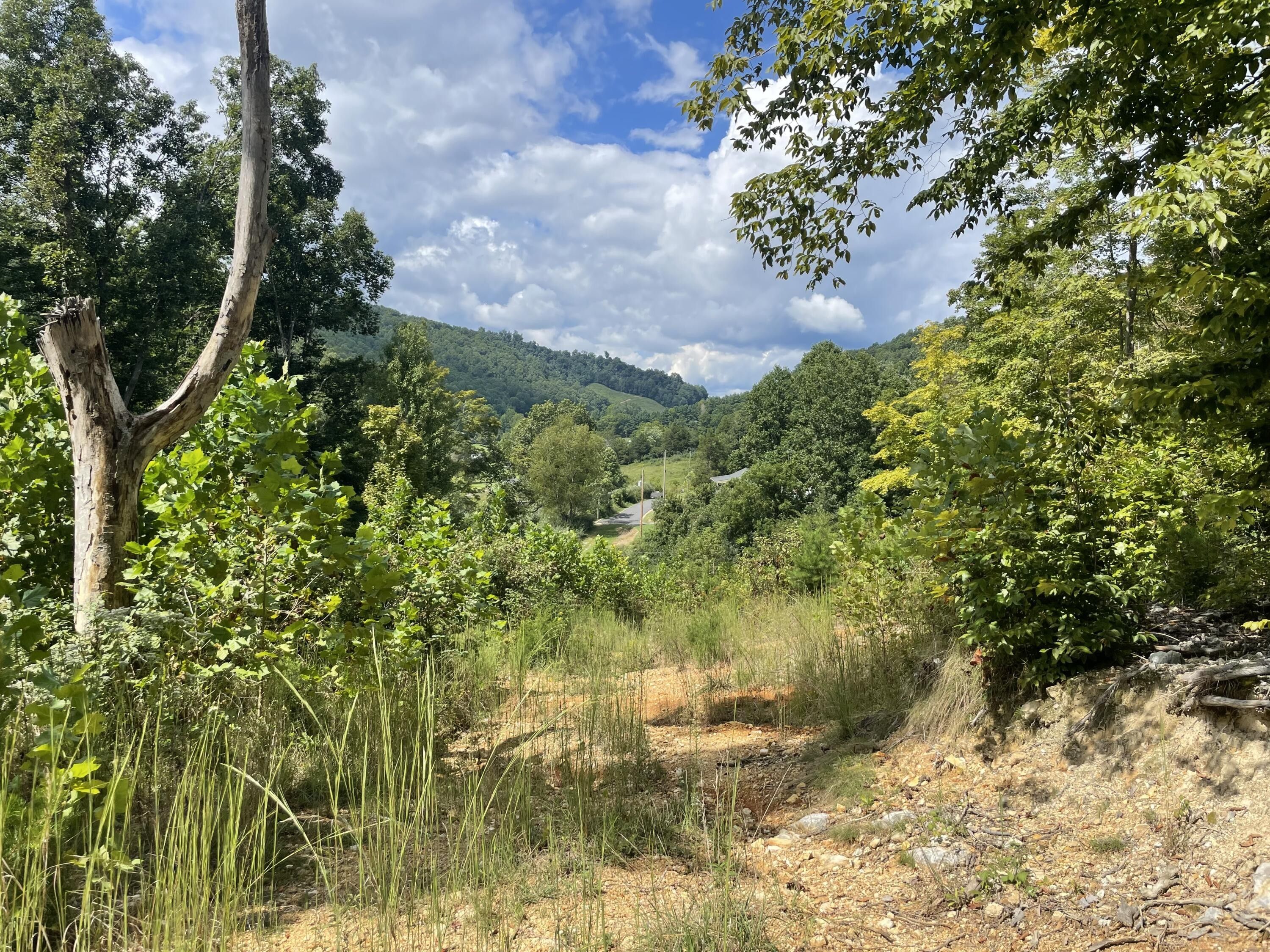 27 acres in Scott County, Virginia