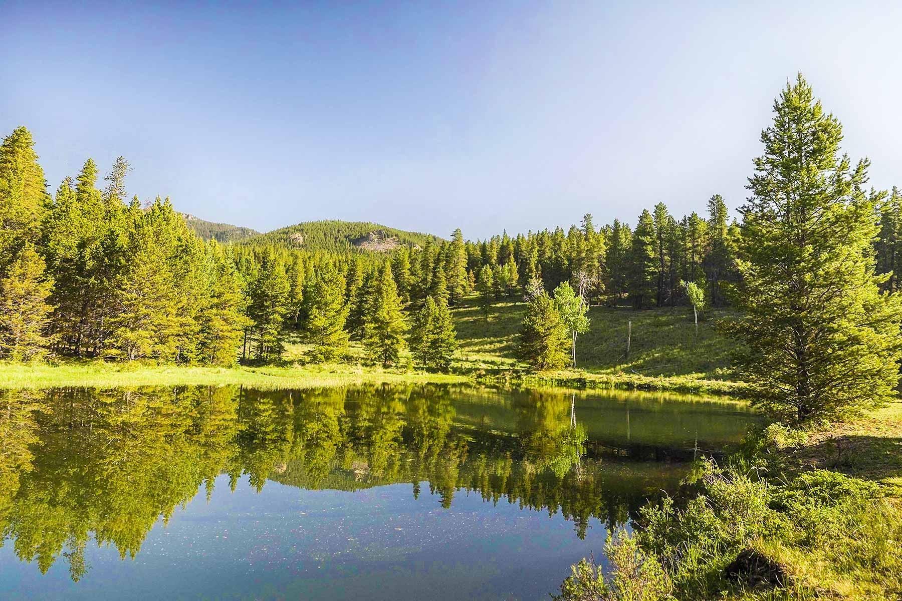 713 acres in Park County, Colorado