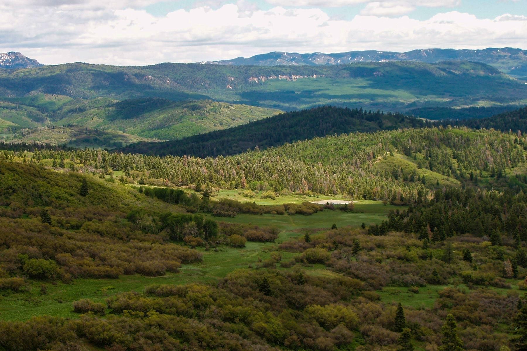 Chama NM, Chama, NM 87520