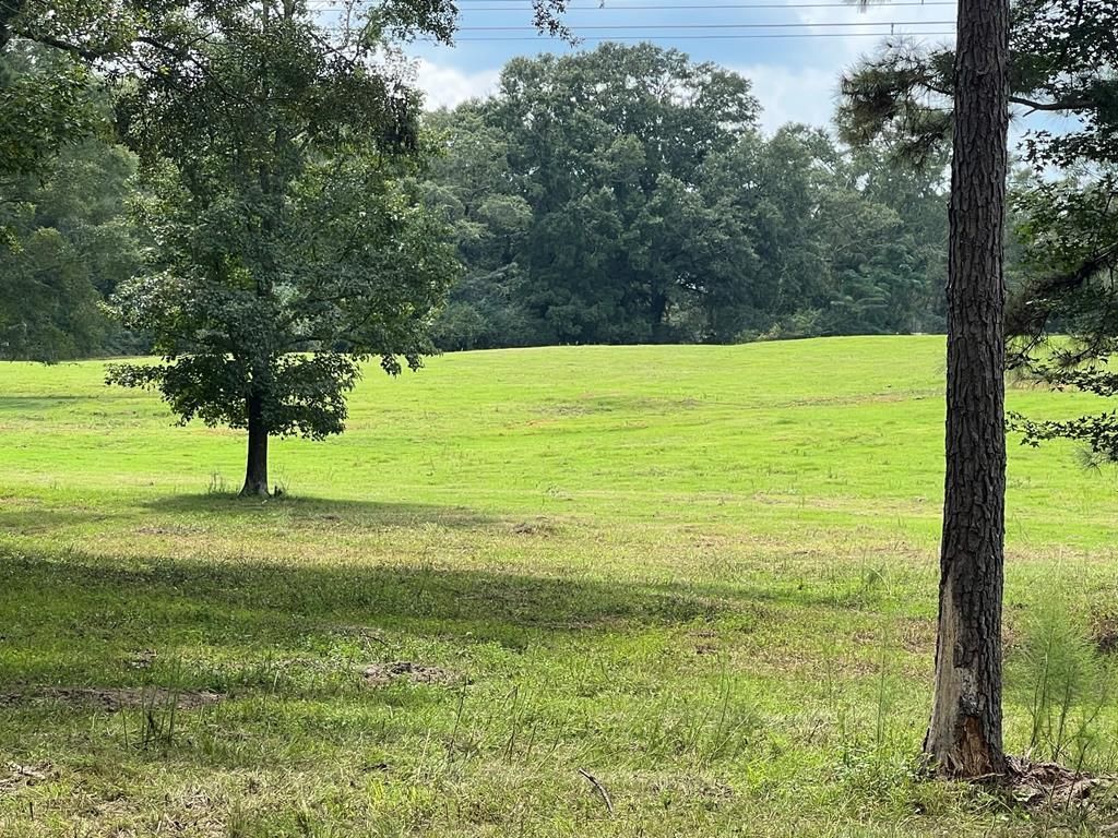 27 acres in Pike County, Alabama