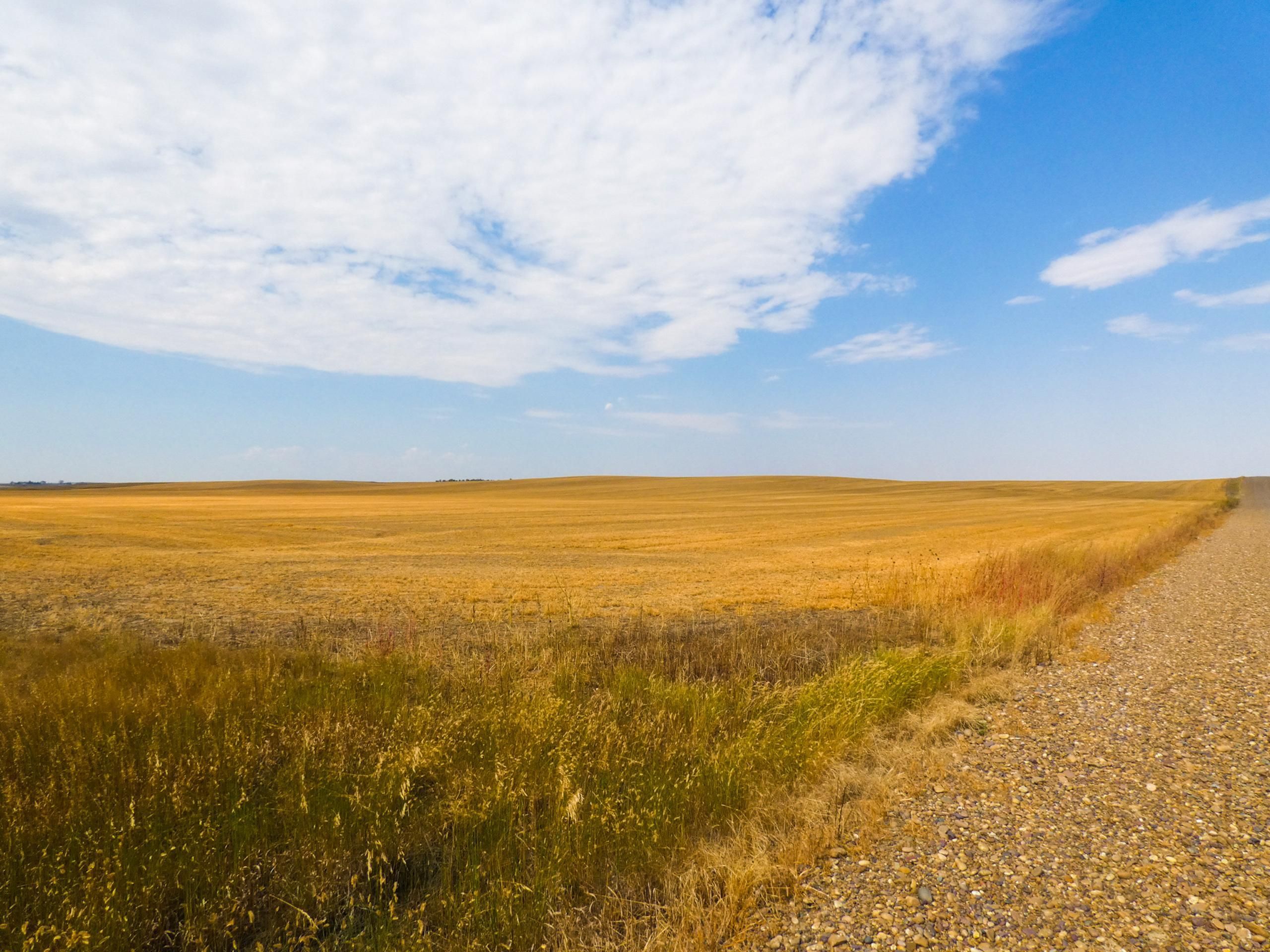 160 acres in Daniels County, Montana