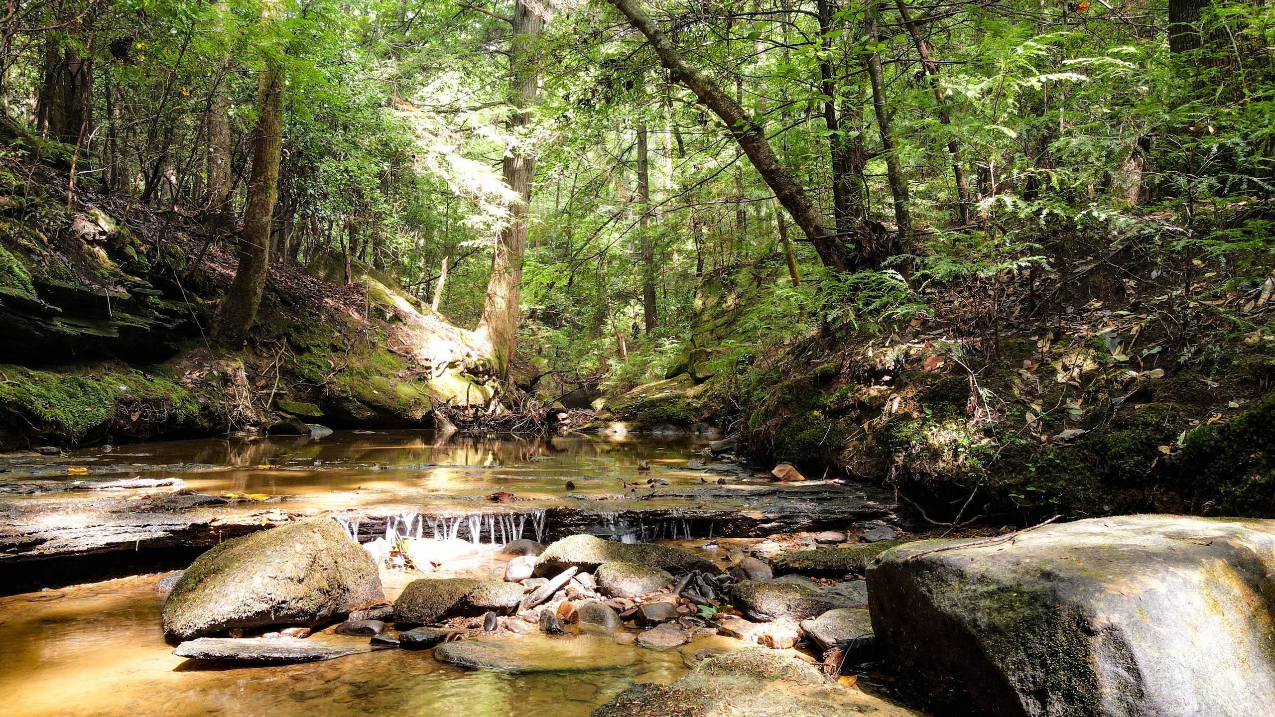 91 acres in Winston County, Alabama