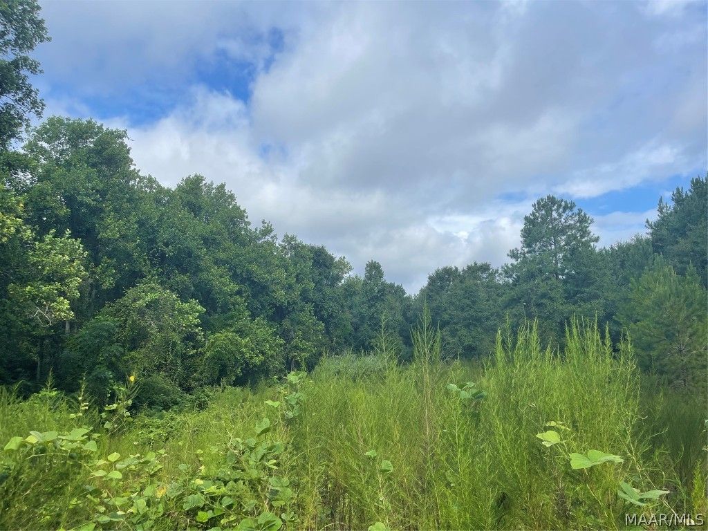 26 acres in Coffee County, Alabama