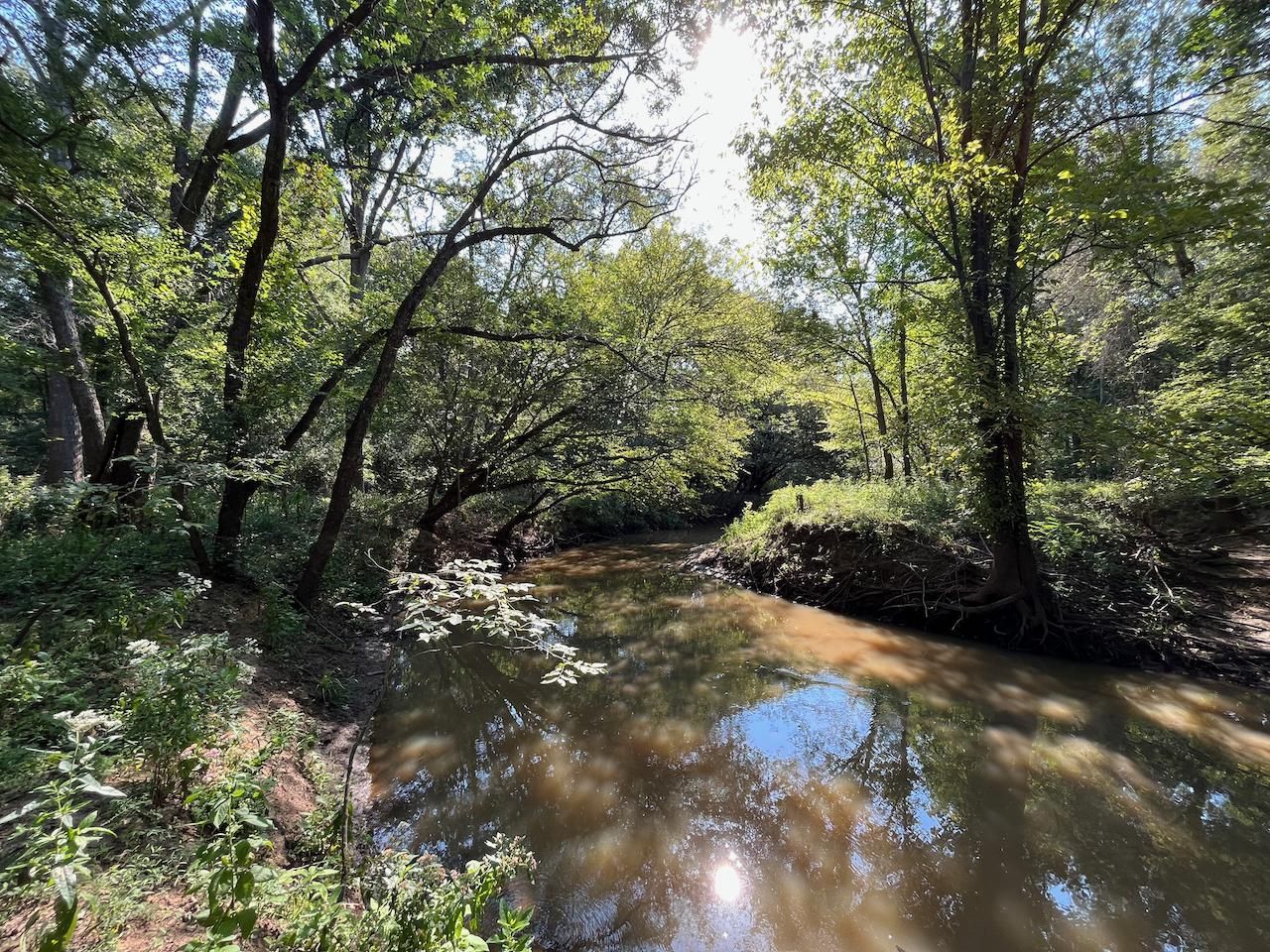 FM 831, Oakwood, TX 75855