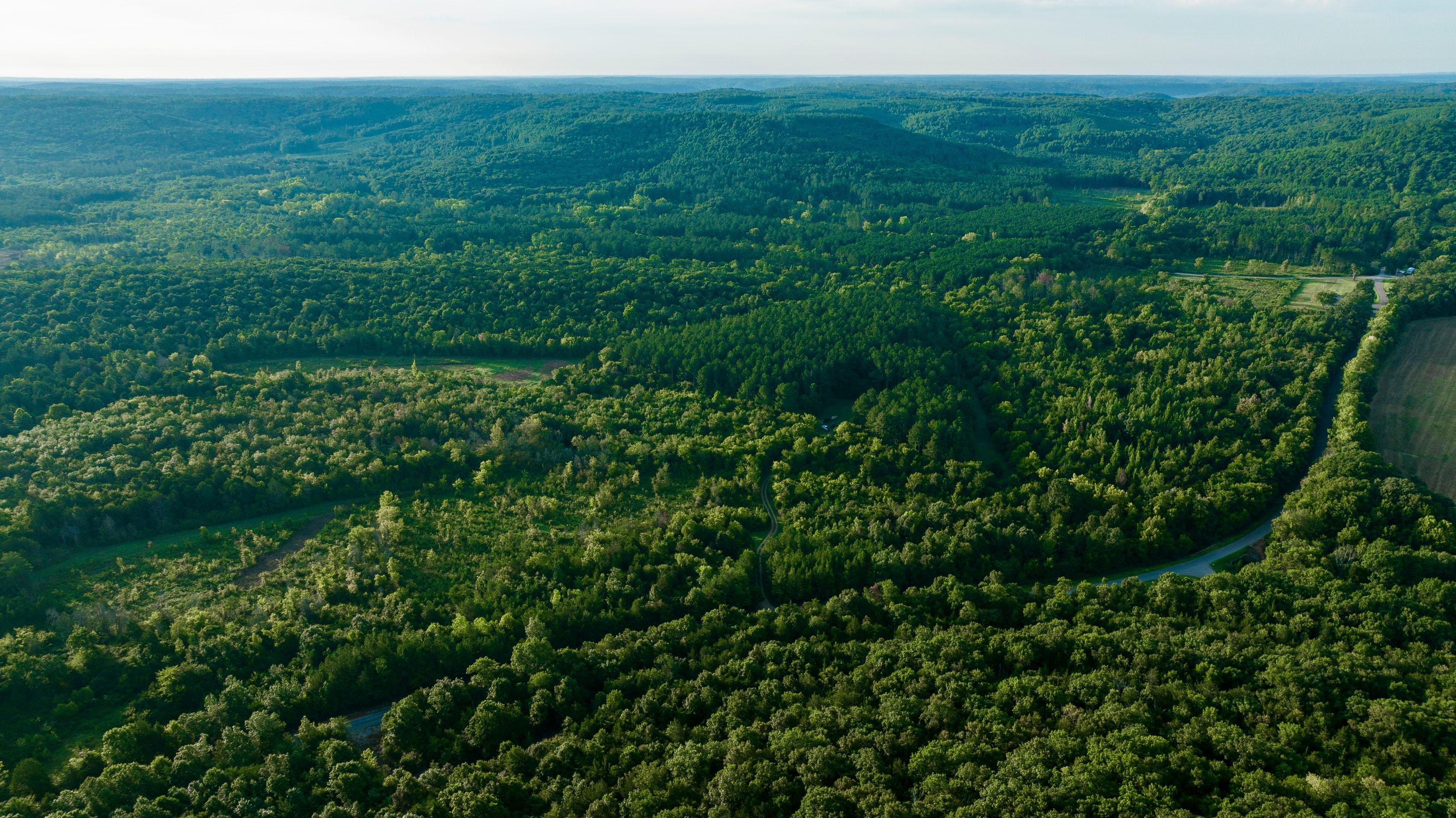 491 acres in Lawrence County, Alabama