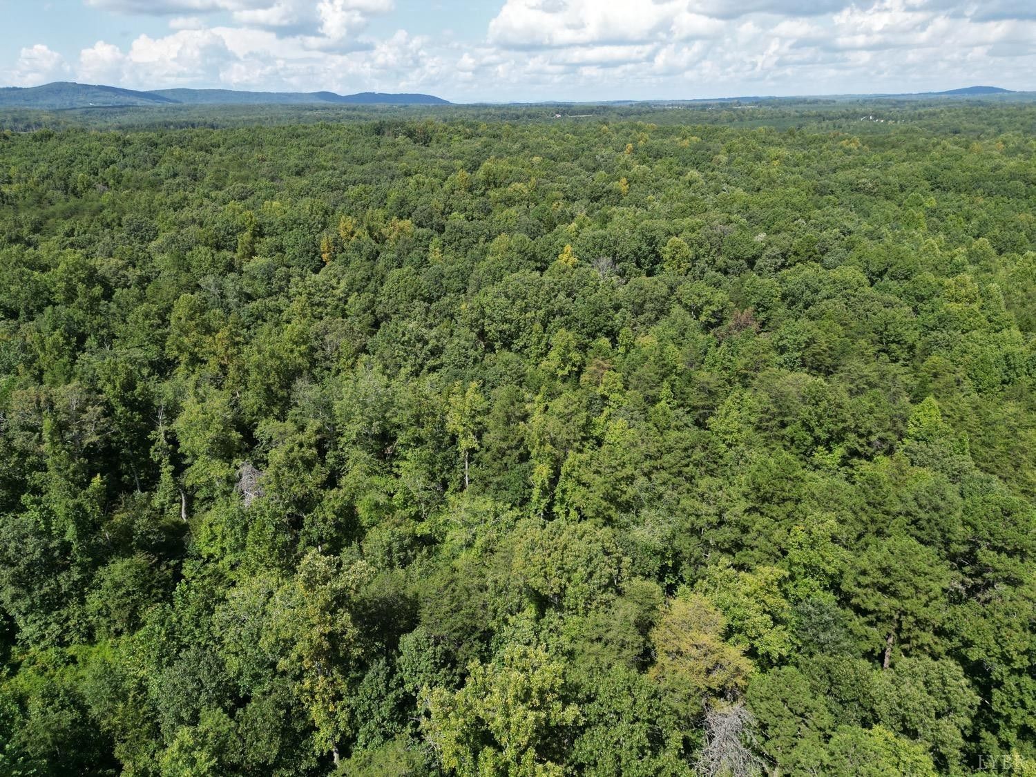 7.22 acres in Campbell County, Virginia