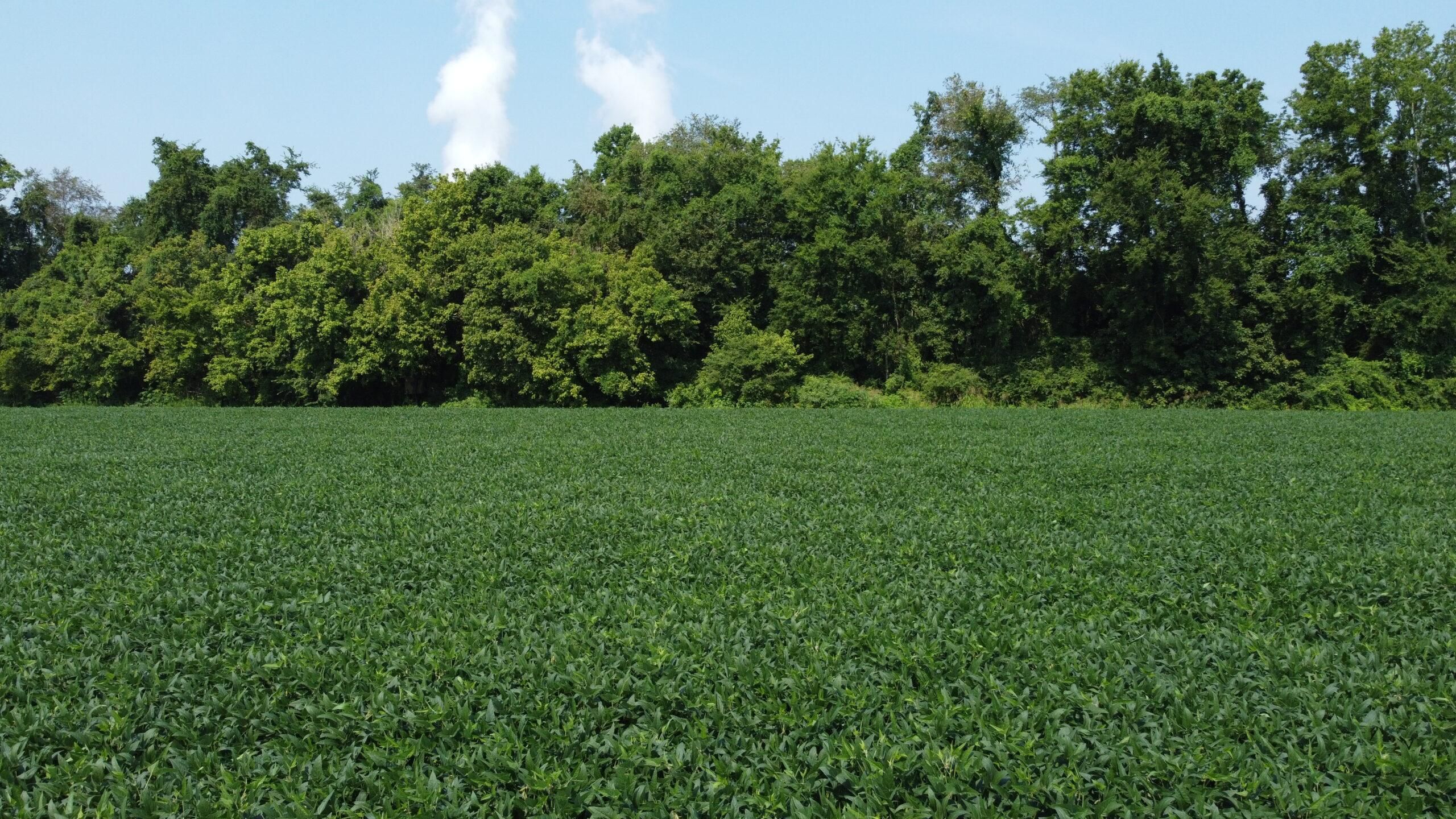 Meigs County, Tennessee, Decatur, TN 37322