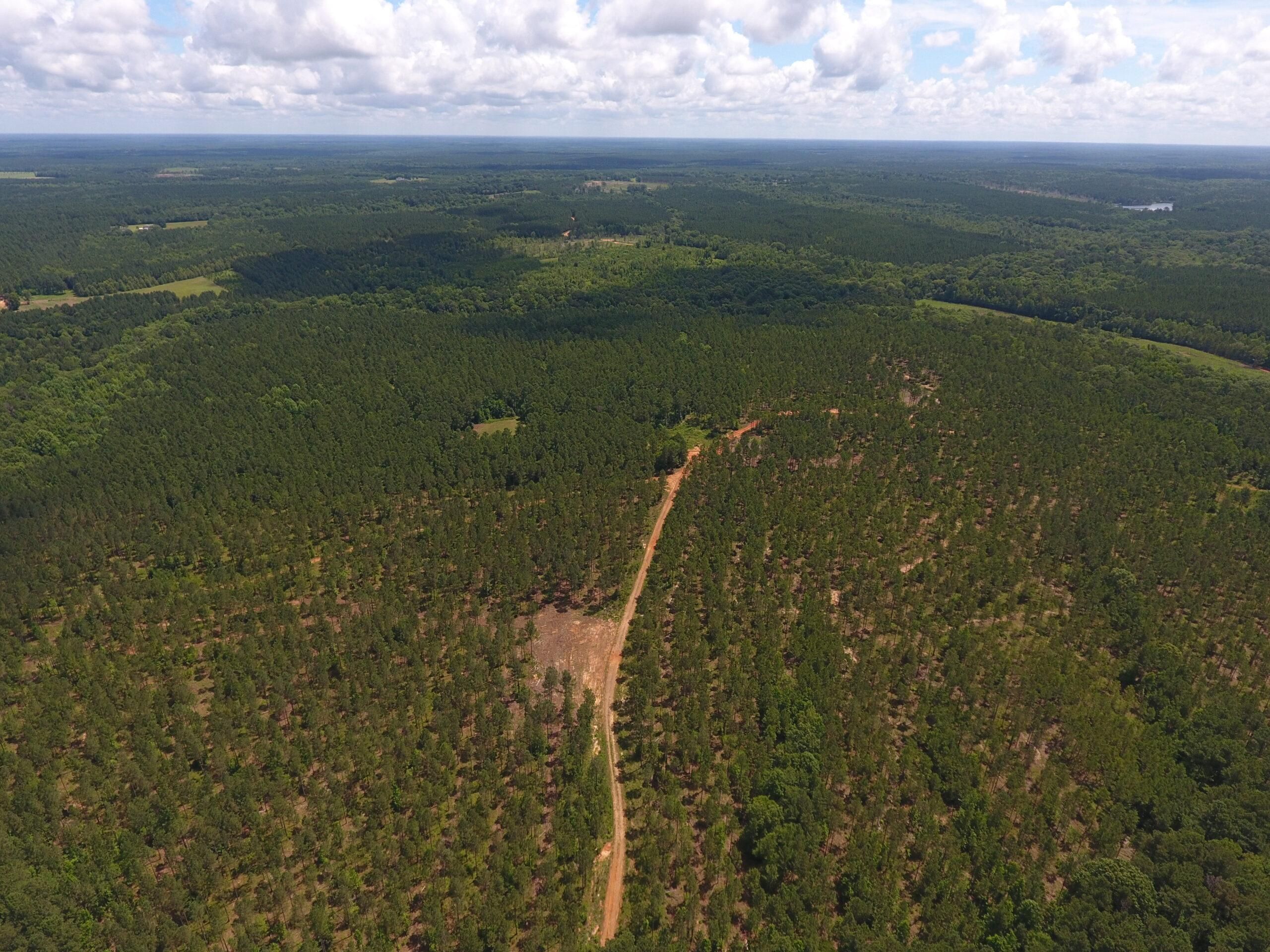 187 acres in Edgefield County, South Carolina