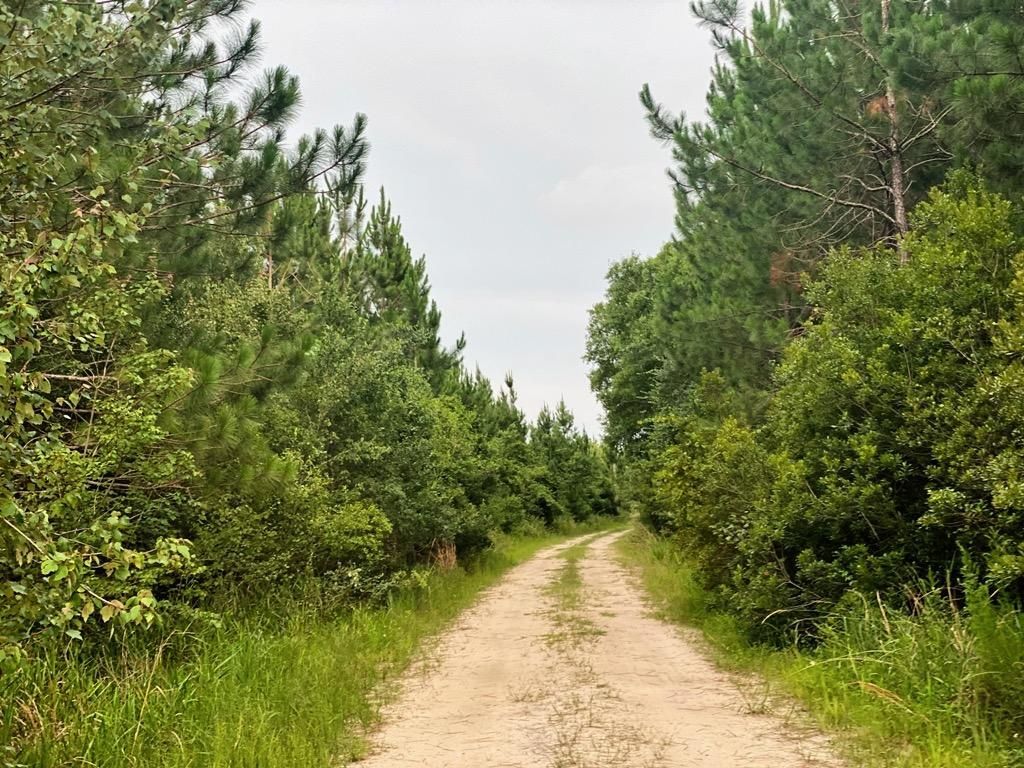 331 acres in Ware County,