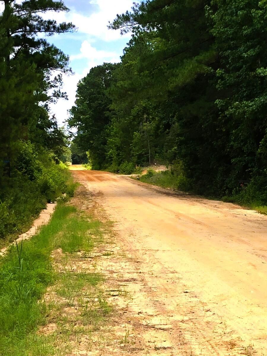 51 acres in Laurens County,