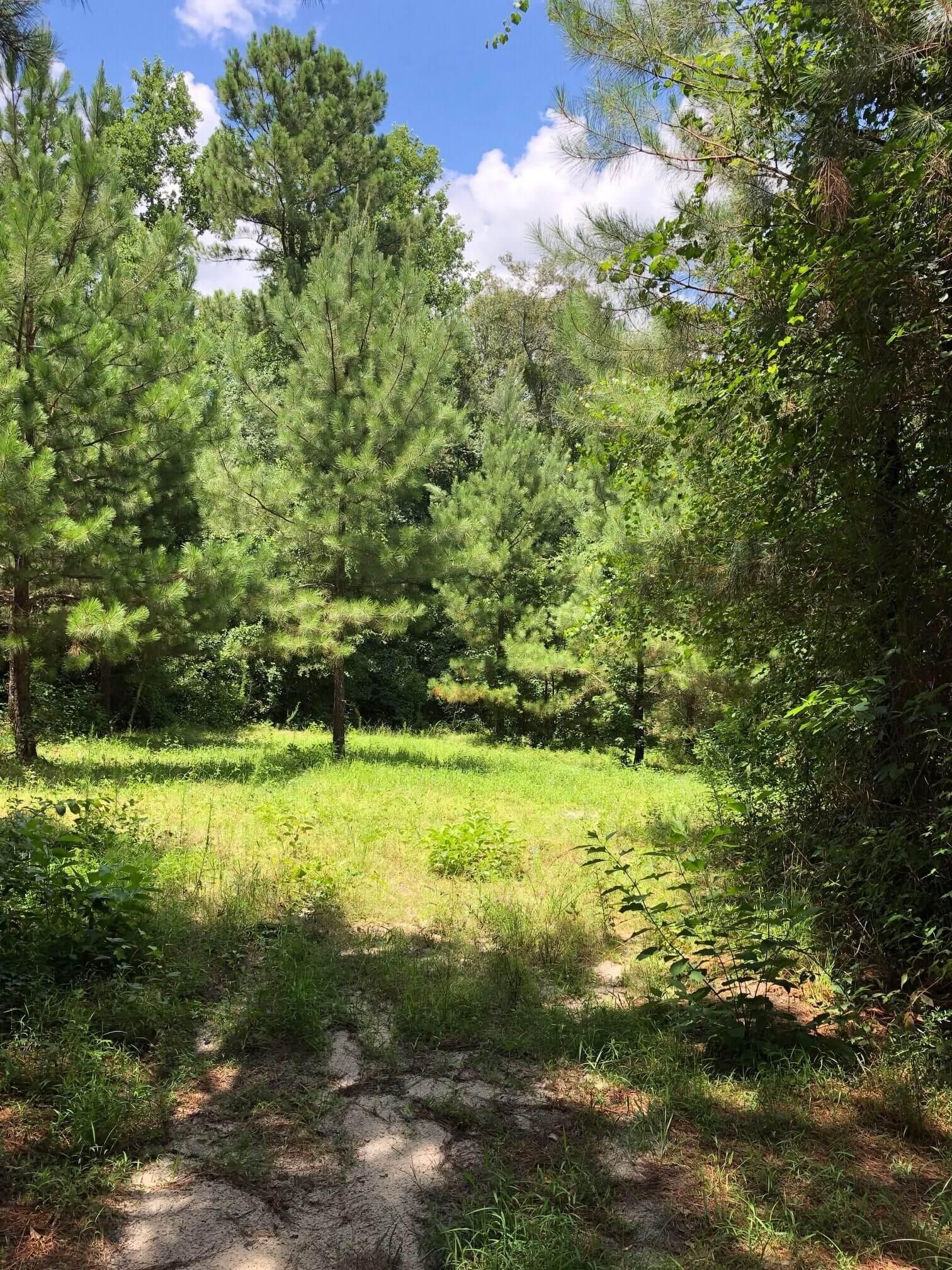 Laurens County, Rockledge, GA 30454