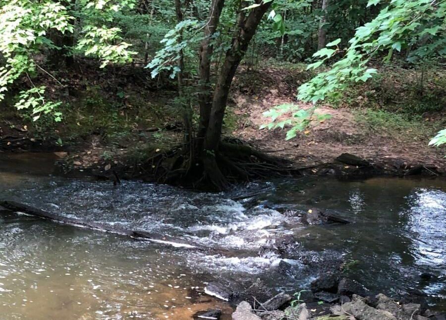 133 acres in Laurens County,