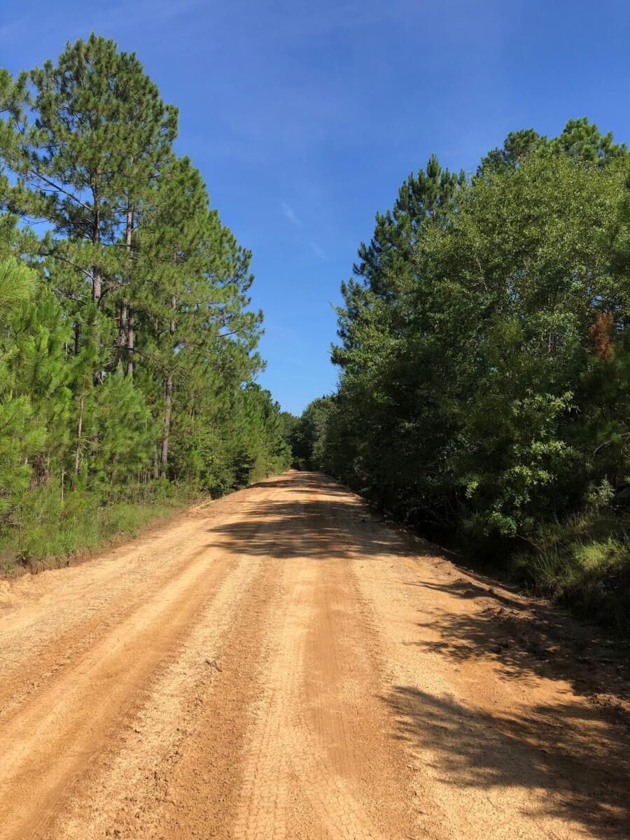 Wilcox County, Rochelle, GA 31015