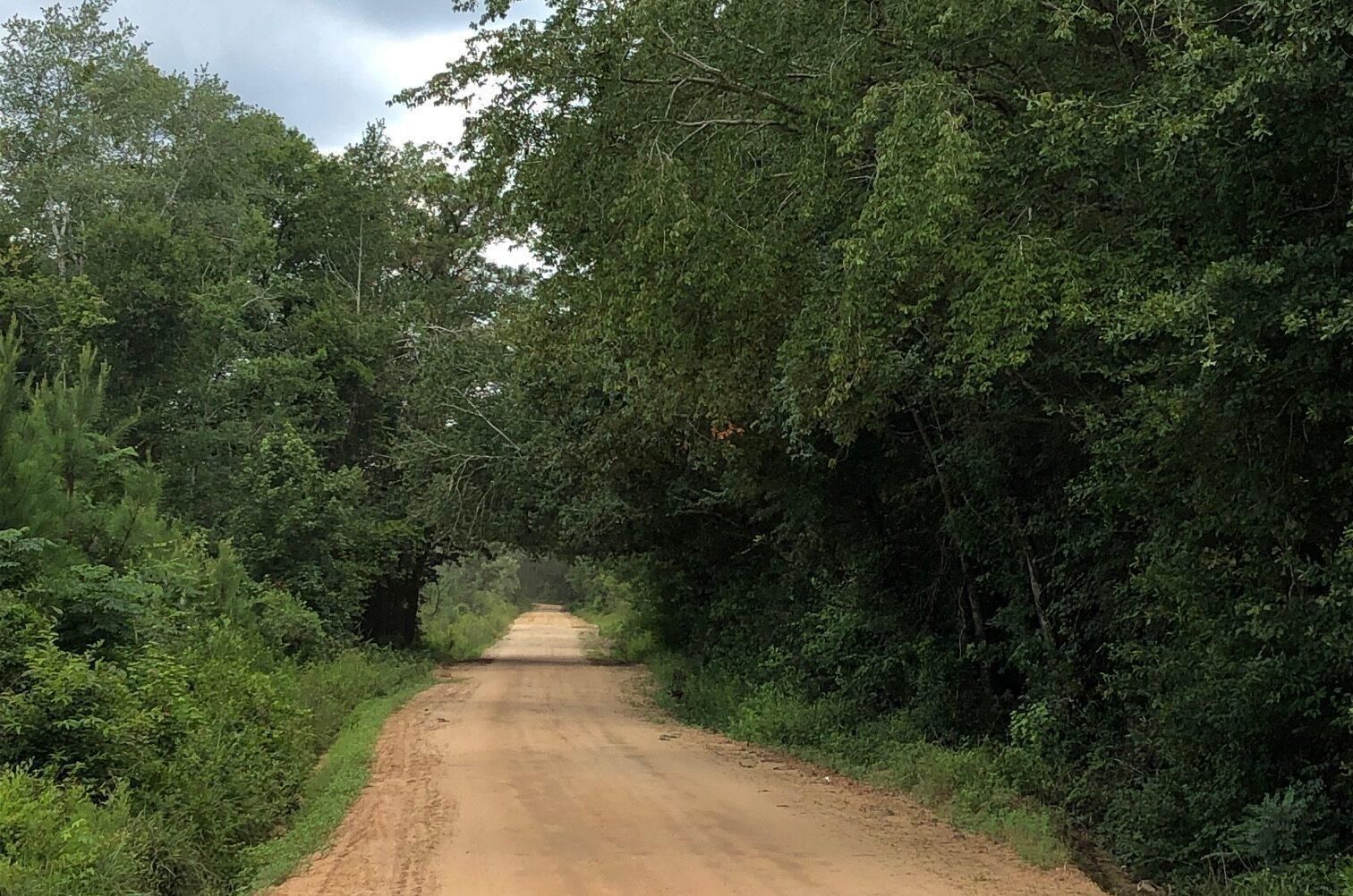 Dodge County, Rhine, GA 31077