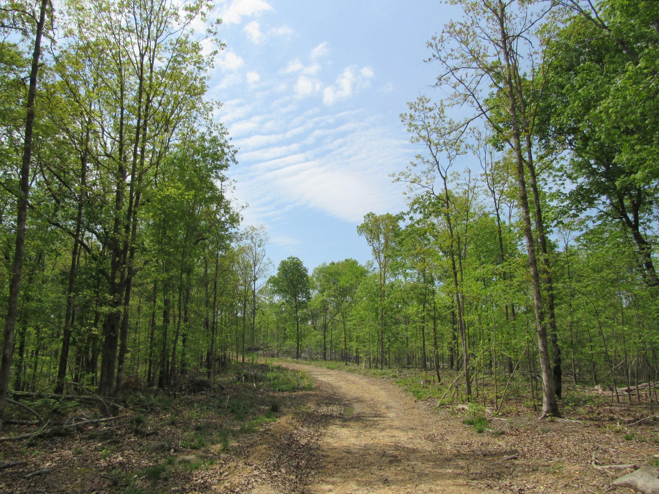 402 acres in Humphreys County, Tennessee