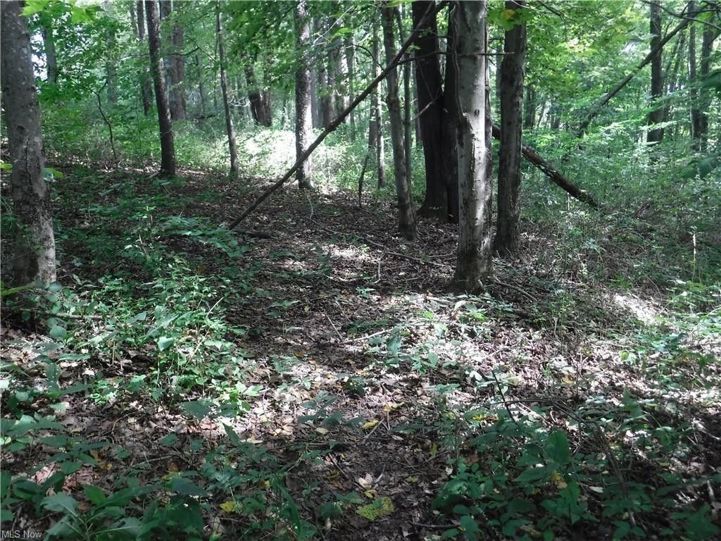 73 acres in Guernsey County, Ohio